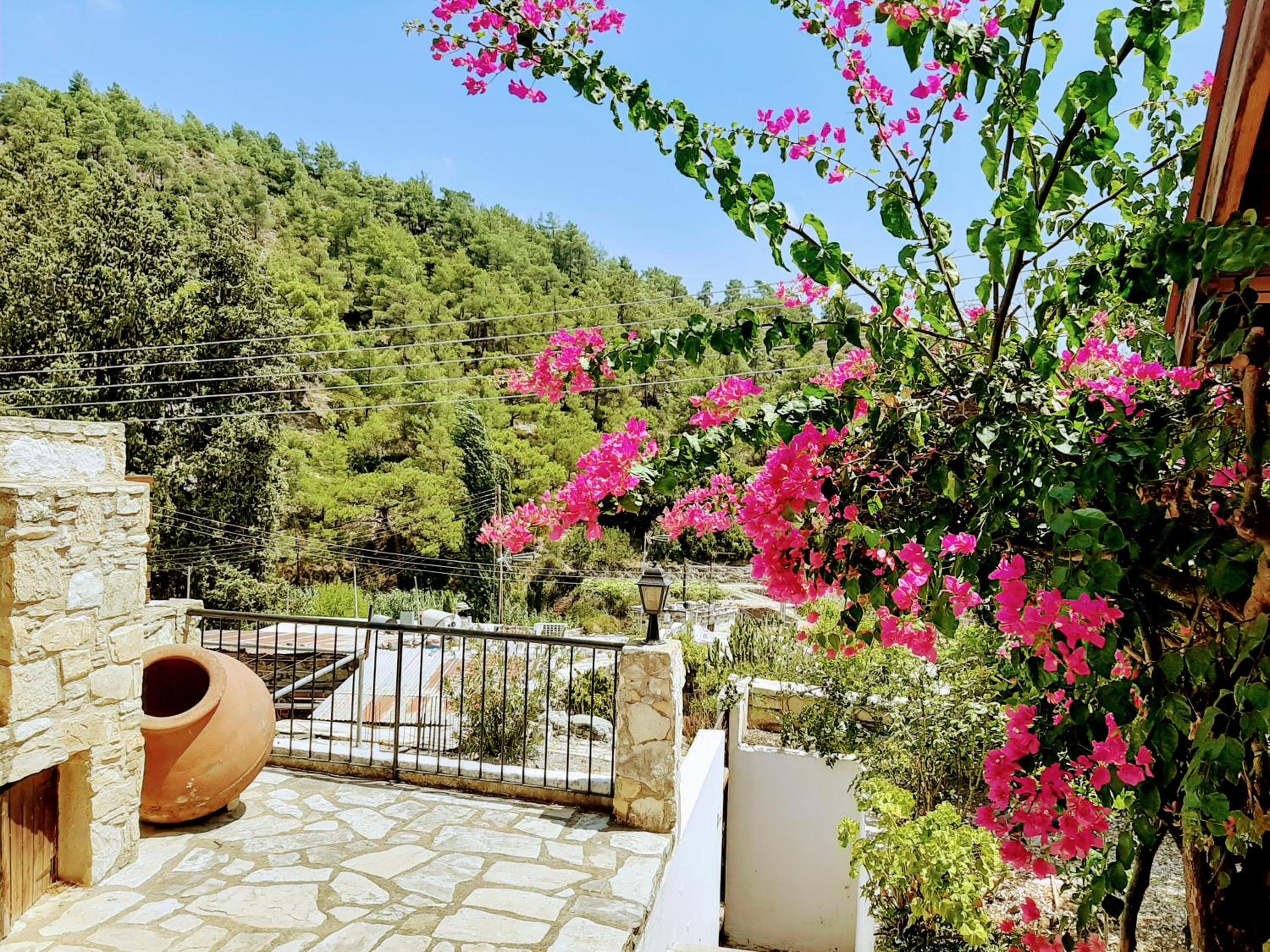 Blue Cottage view 3