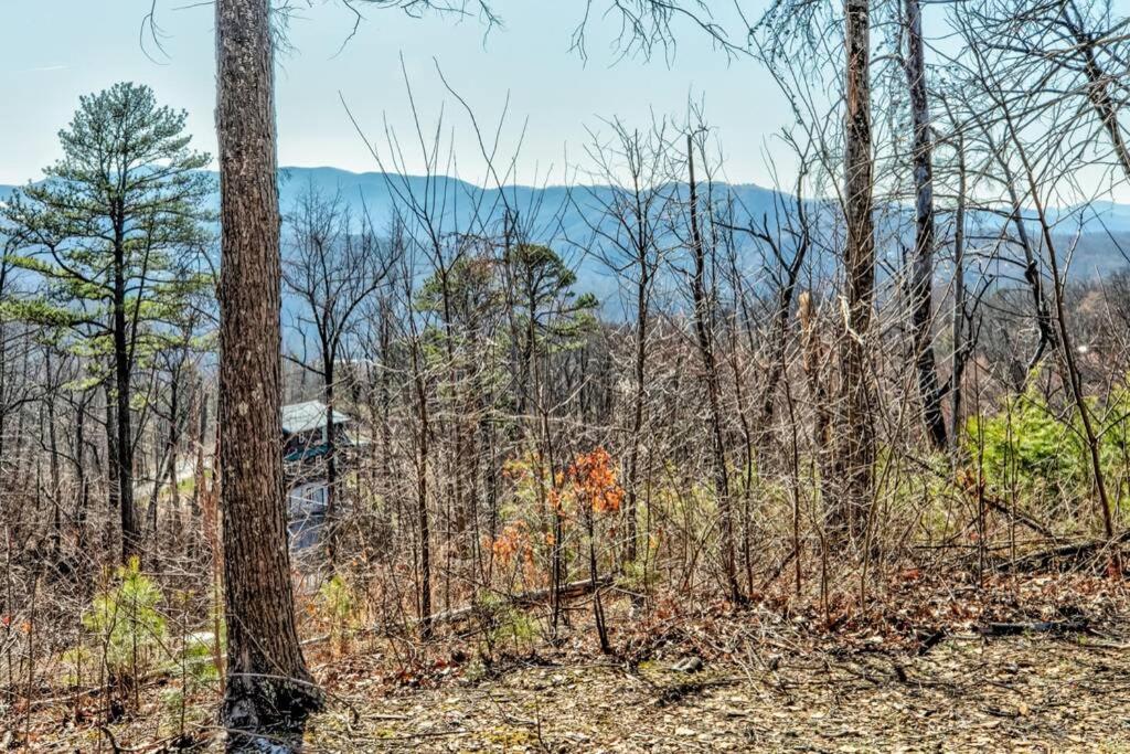 Amazing Views! Hot Tub,Pool Table,Fireplace,Relax! view 4