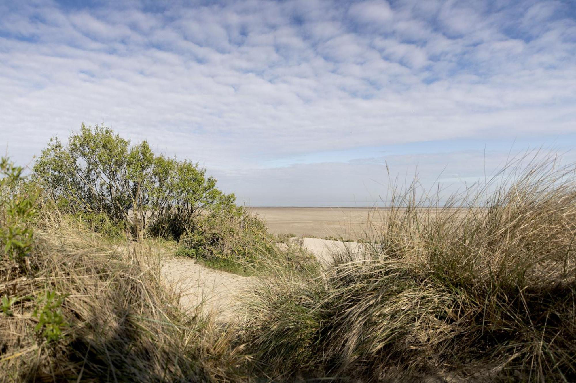 Camping Veld & Duin
