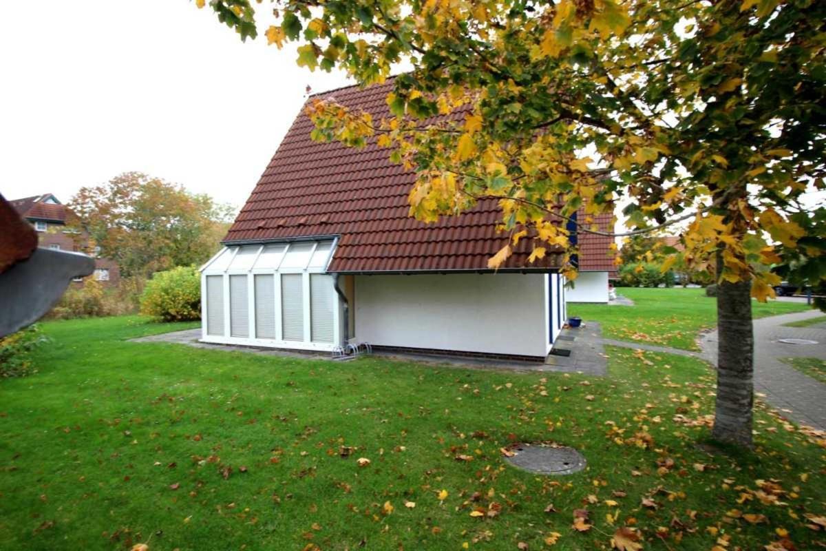 Strandlaeufer TP6