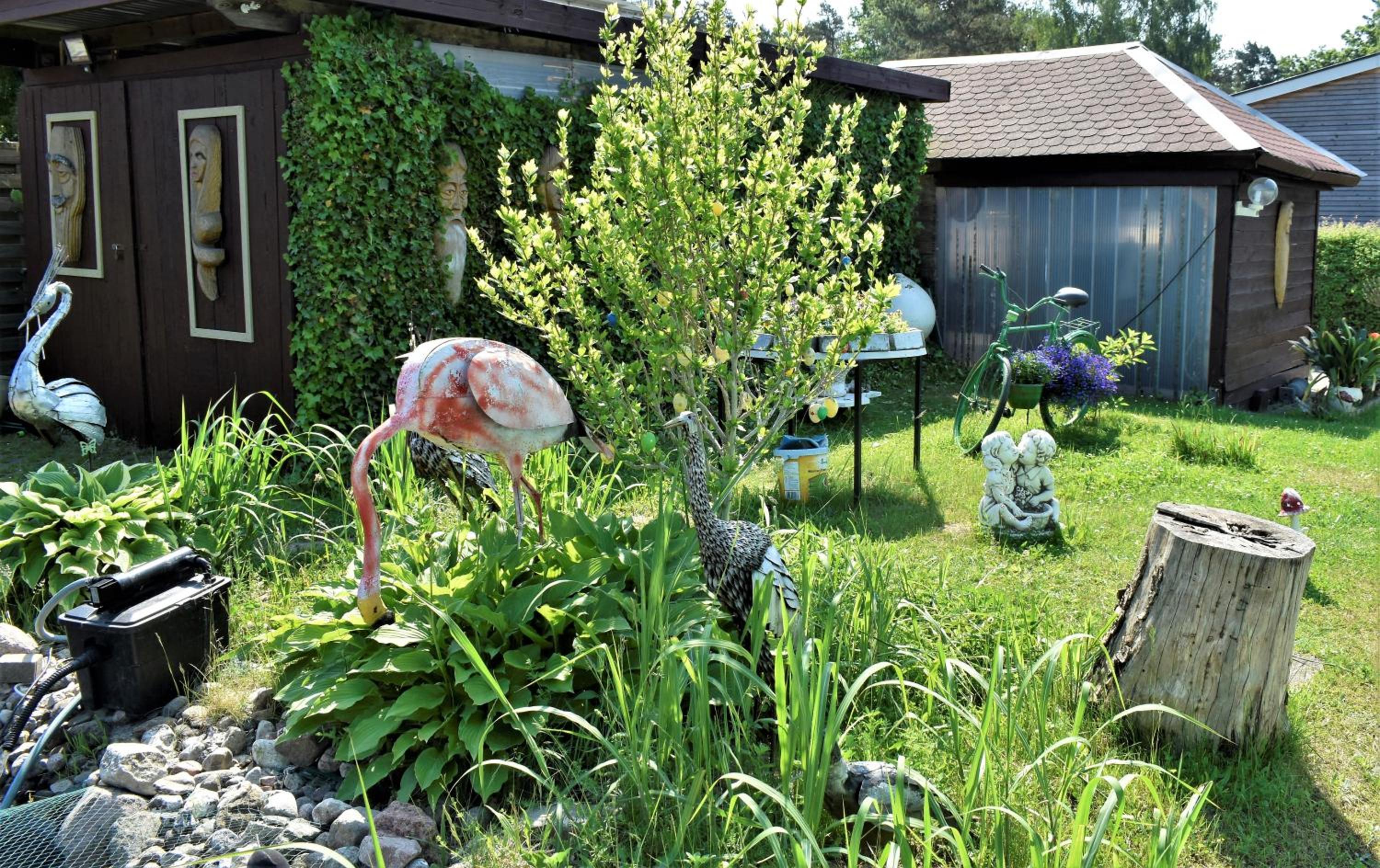 Photo 25