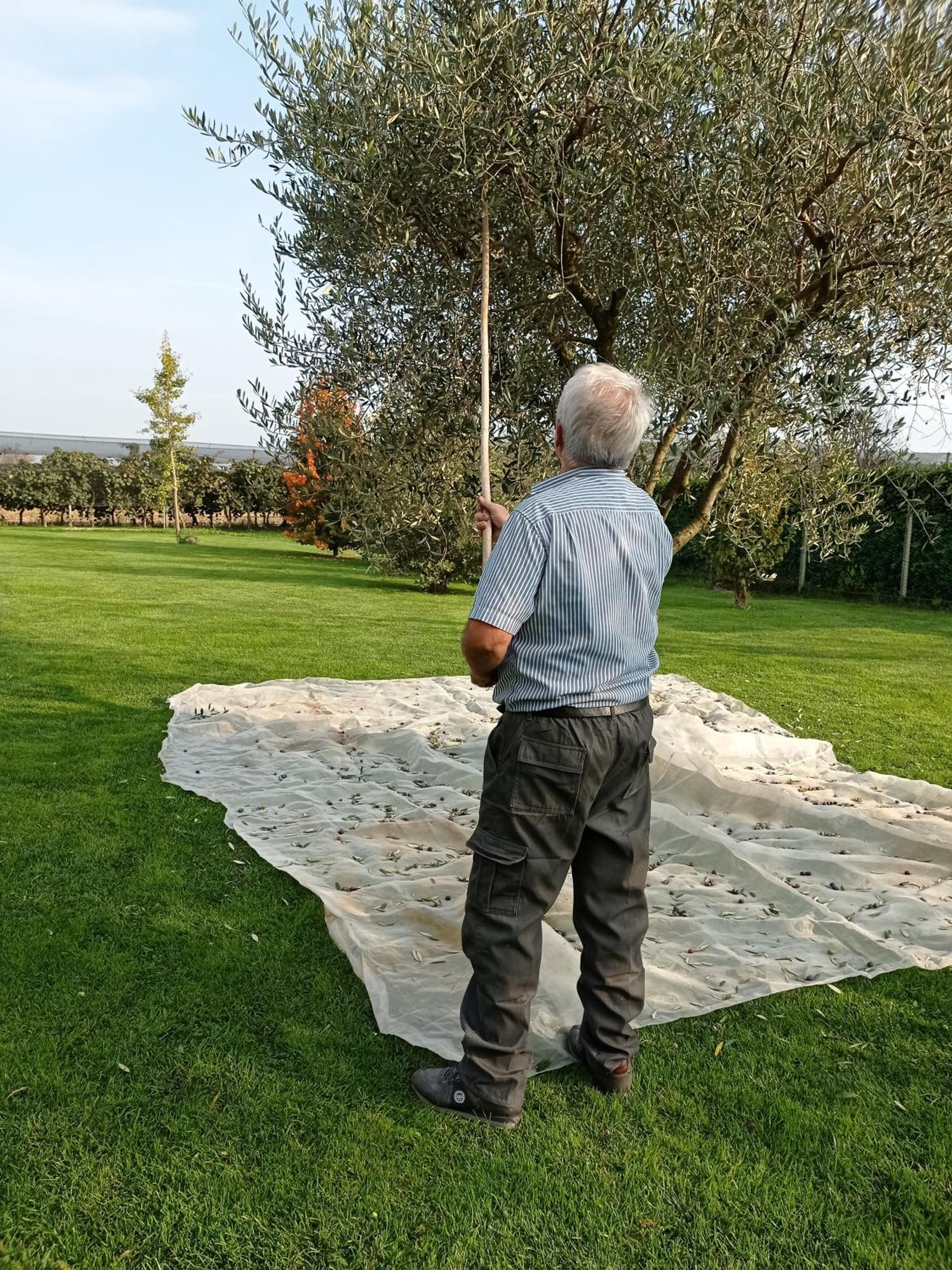 Borgo D'Asolo