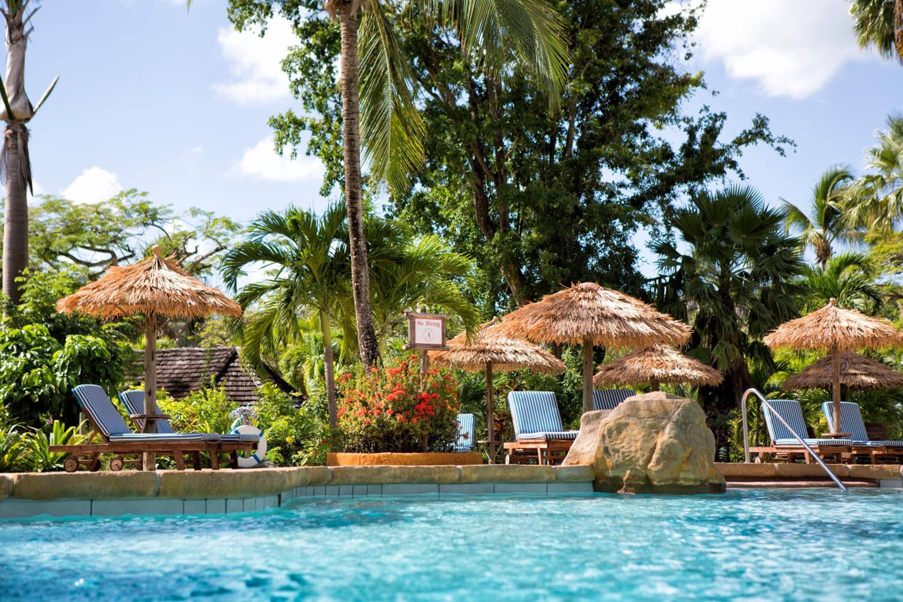 Pool & Wellness