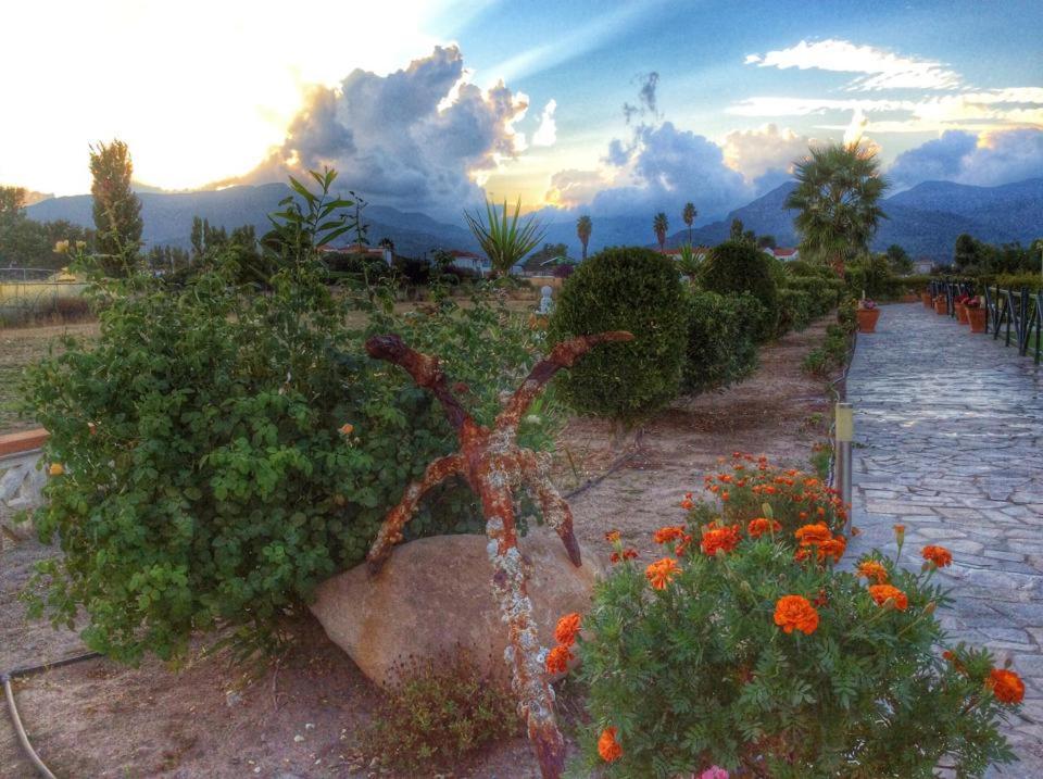 Kalloni Beach Villas view 4
