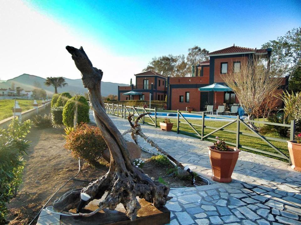 Kalloni Beach Villas view 5