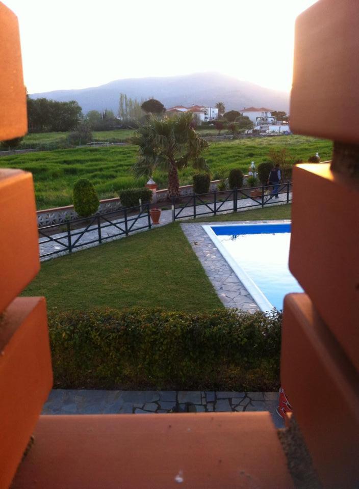 Photo 23