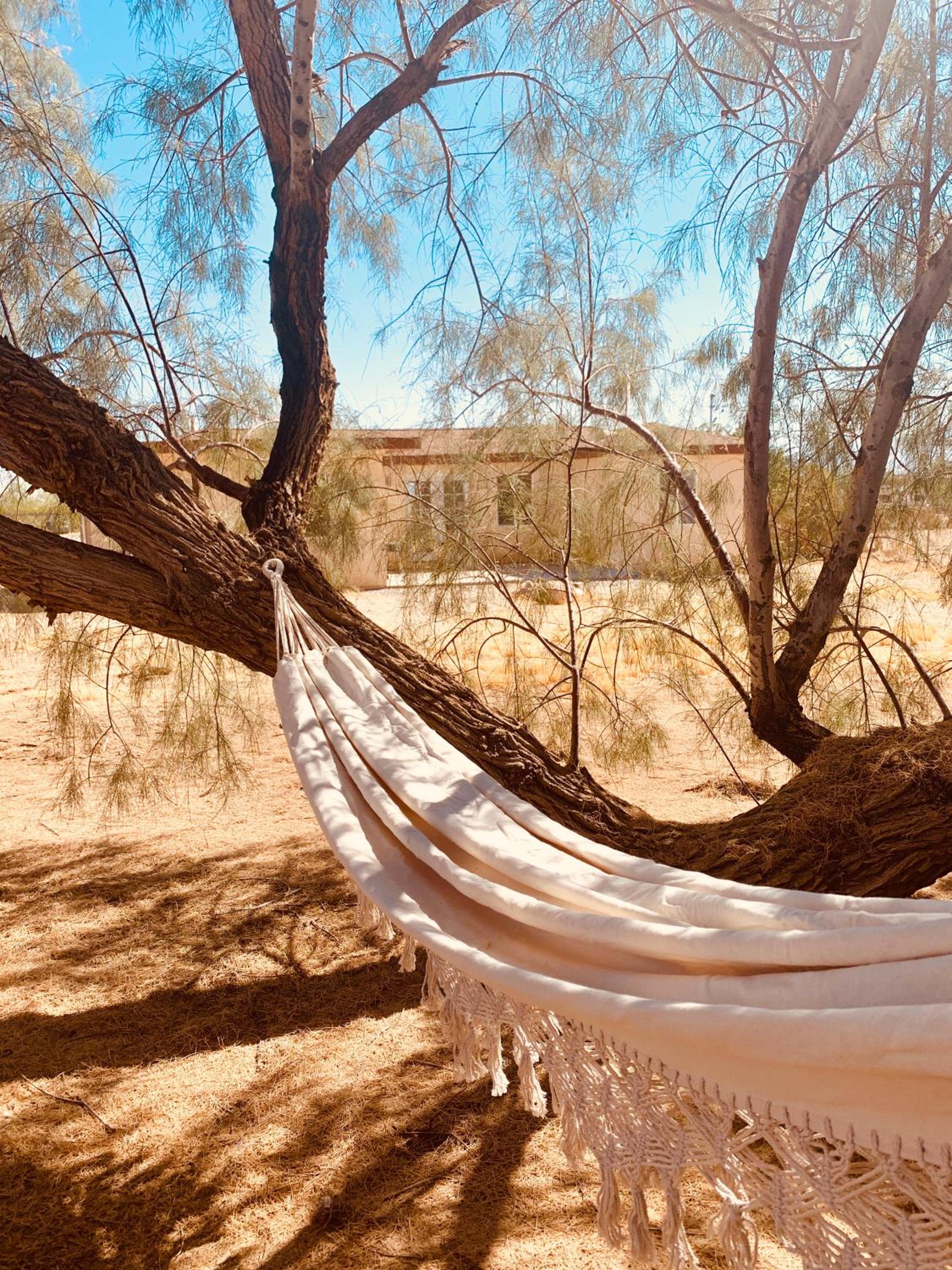 Casa Agave: Comfy Joshua Tree Cottage With Free Breakfast Bar