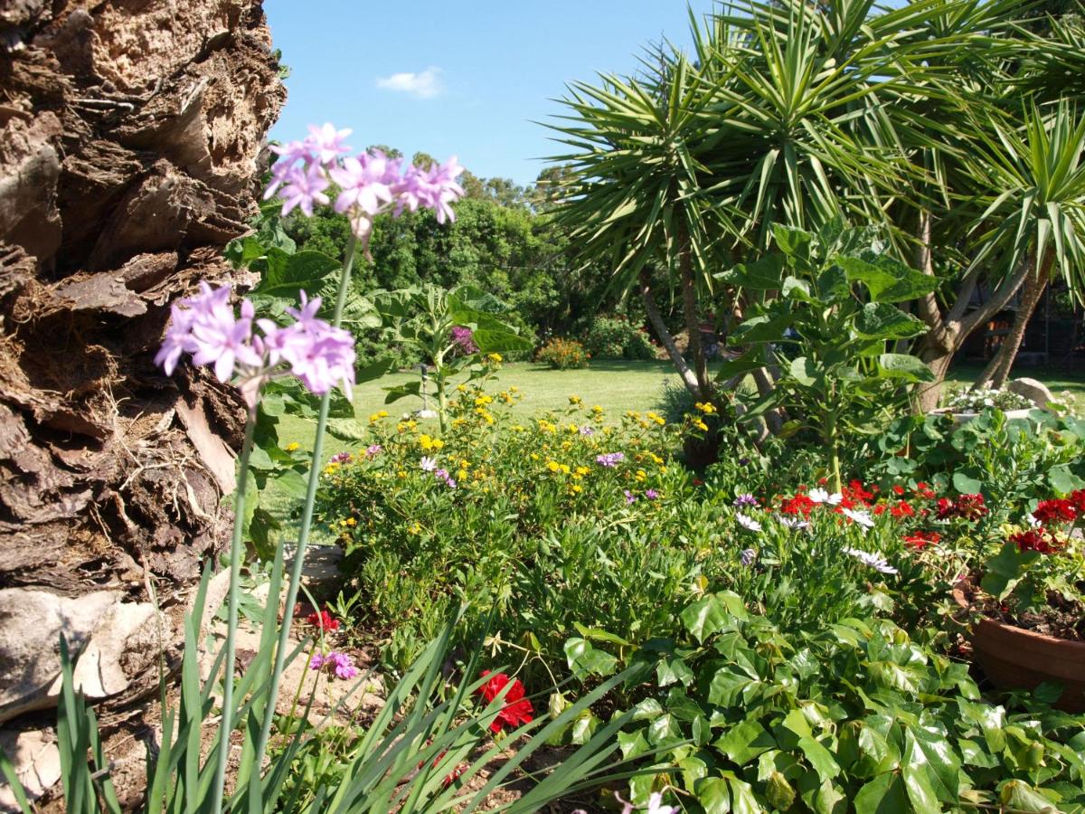 B&B Nel Giardino In Fiore view 3