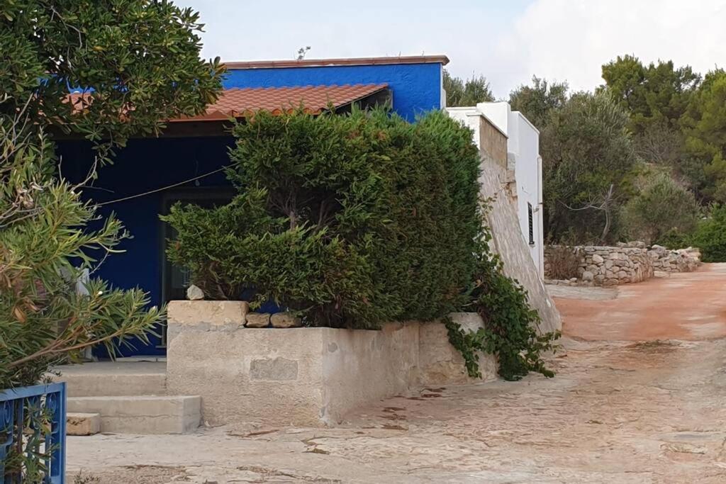 Casa Azzurra photo 5