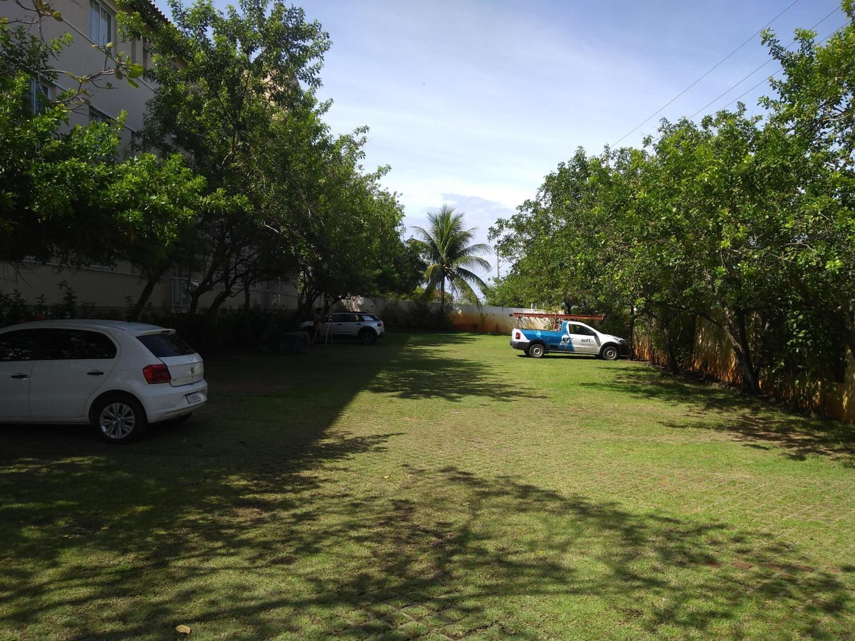 Photo 42
