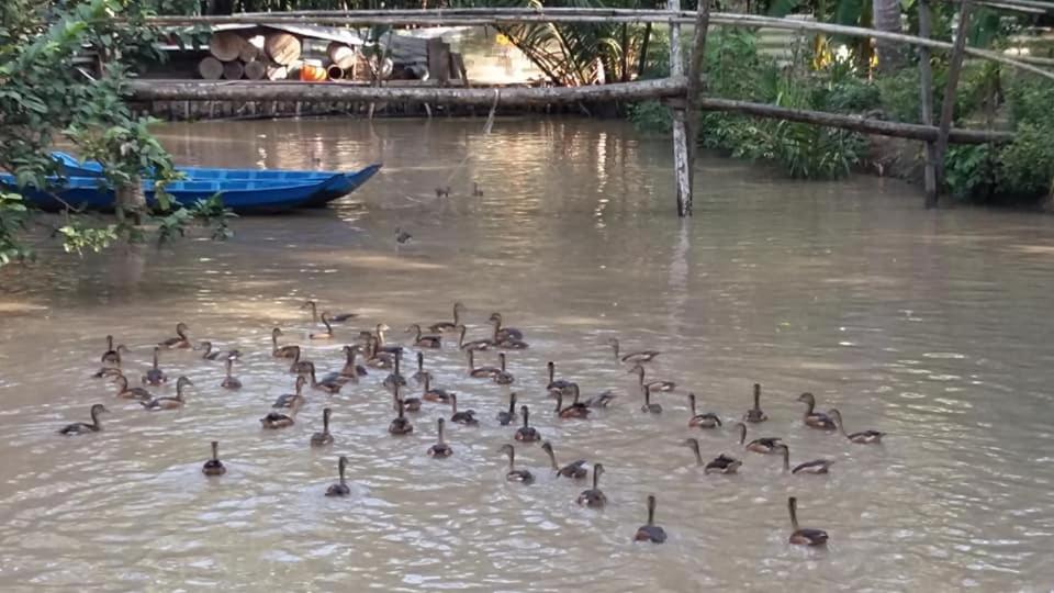 Coconut Homestay Moc Cai Nam Ben Tre