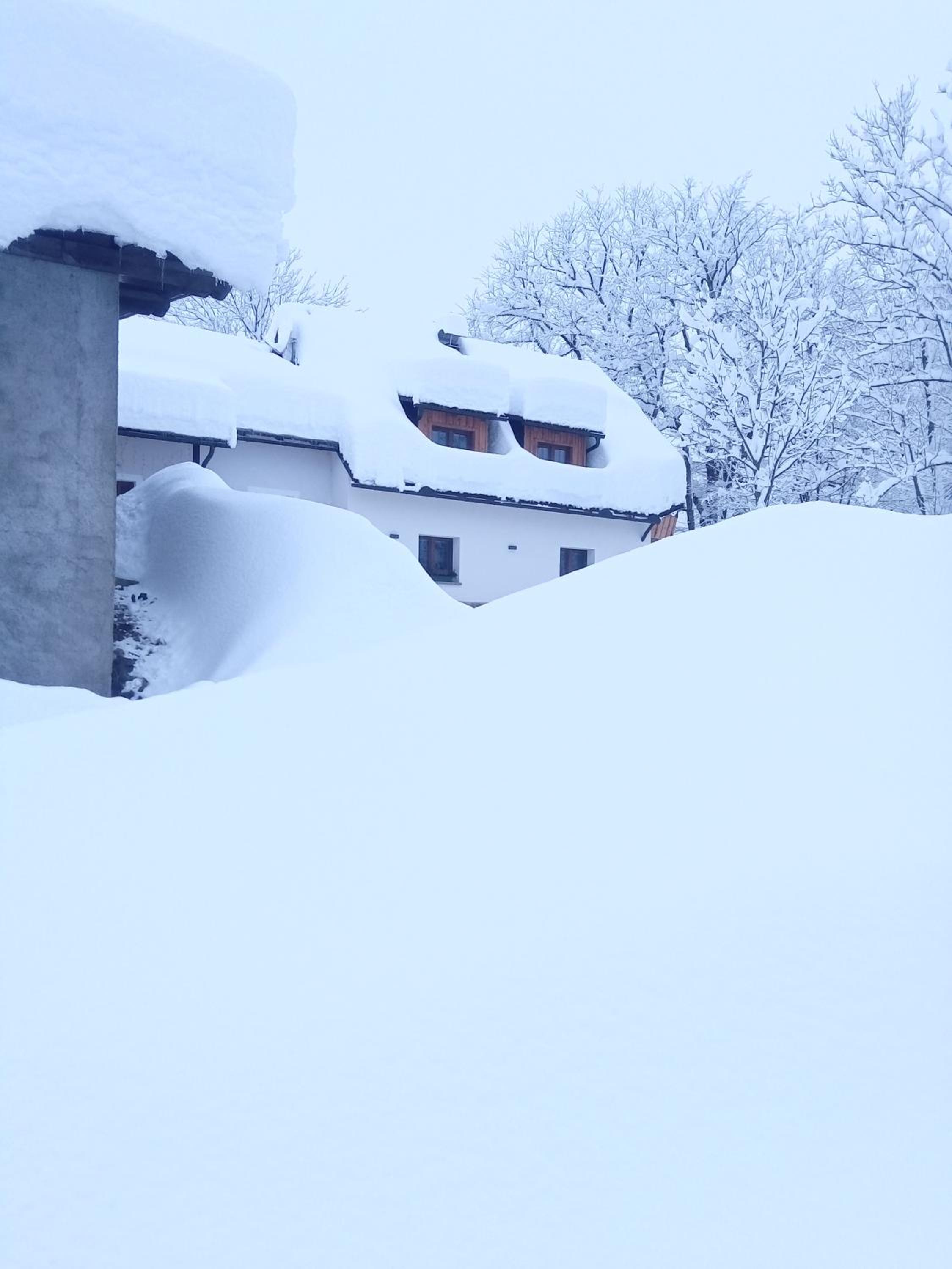 Greuth Hutte en Tarvisio