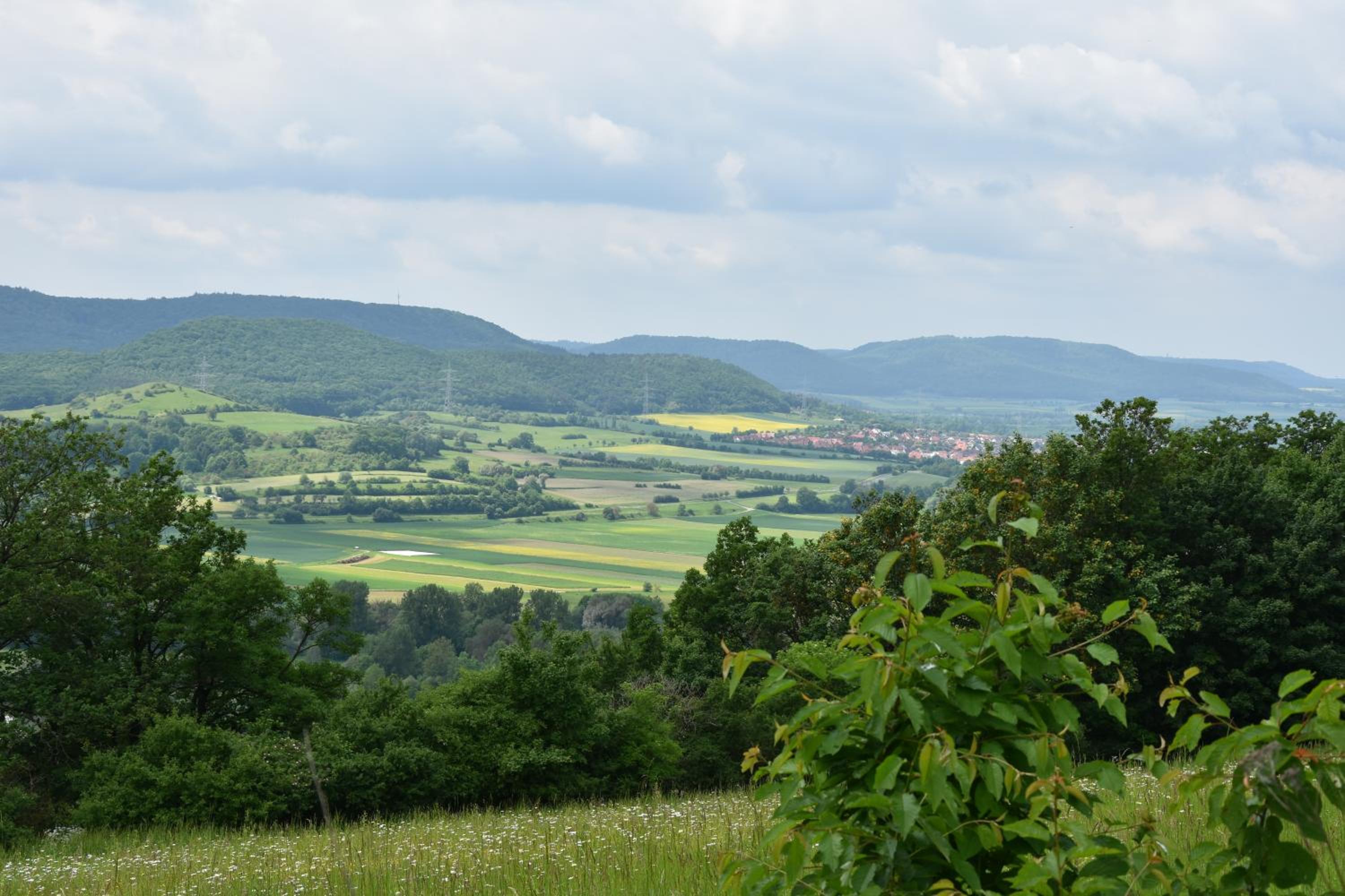 Pension Maintal Eltmann - Property Image 44