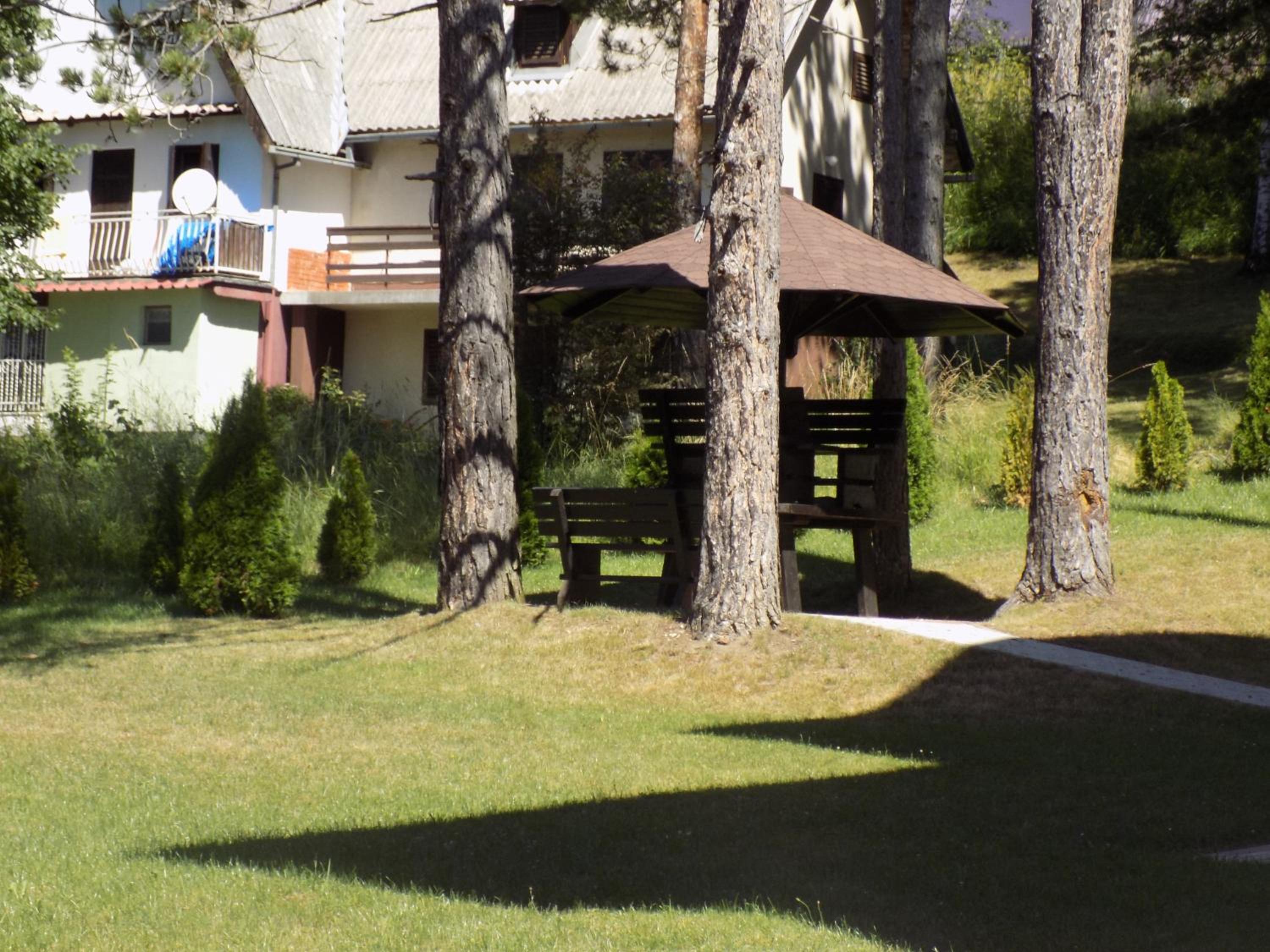 Photo 7