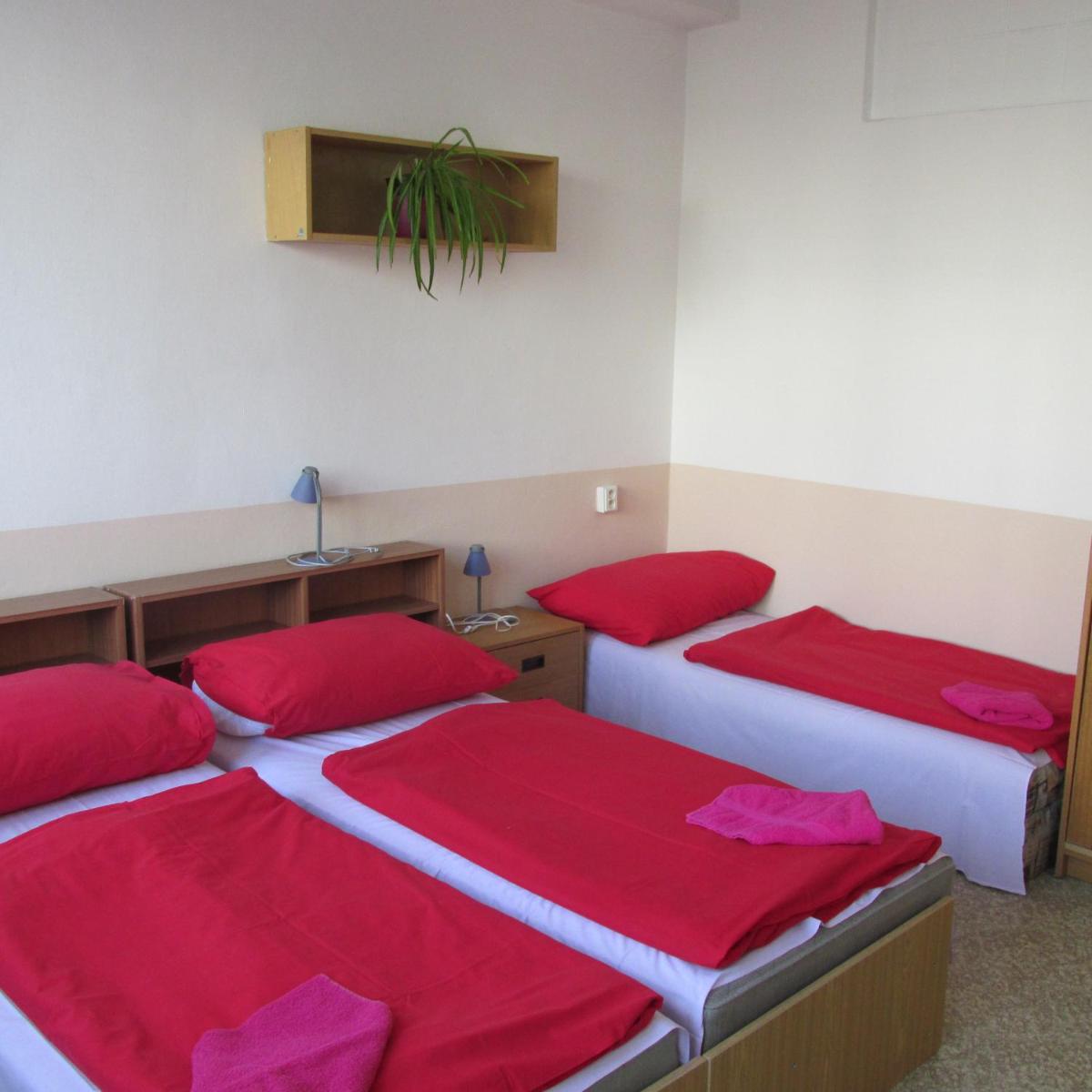 Hostel Modrá