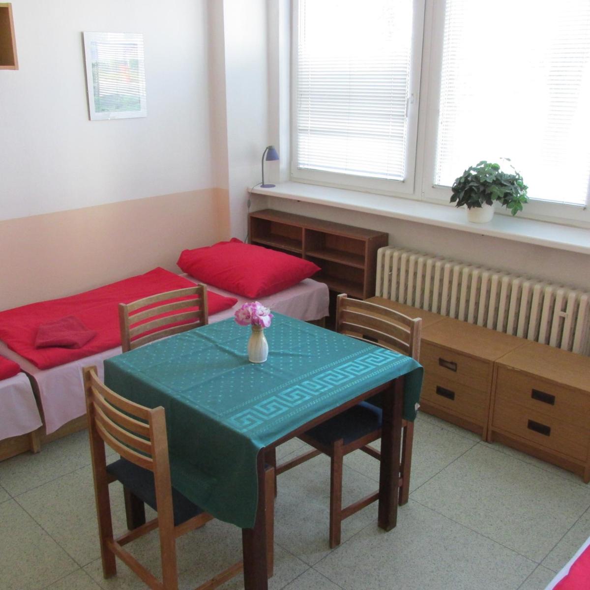 Hostel Modrá