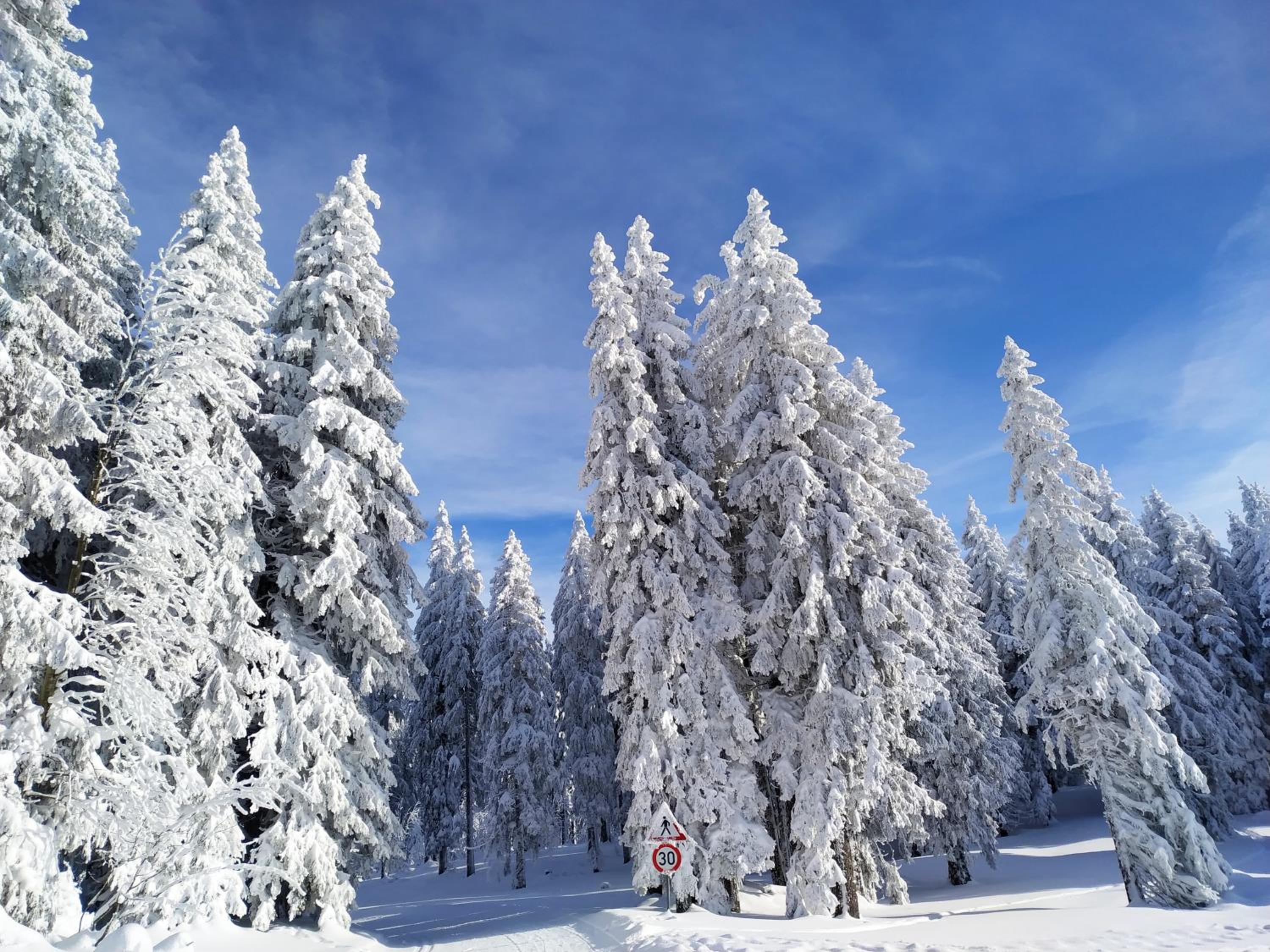 Ferienwohnung Feldberg - Residenz Grafenmatt