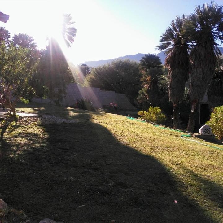 Palmares al cerro