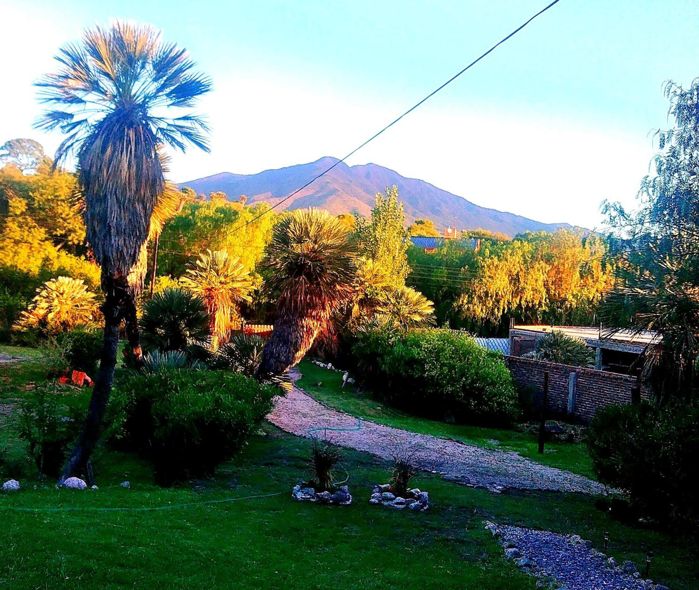 Palmares al cerro