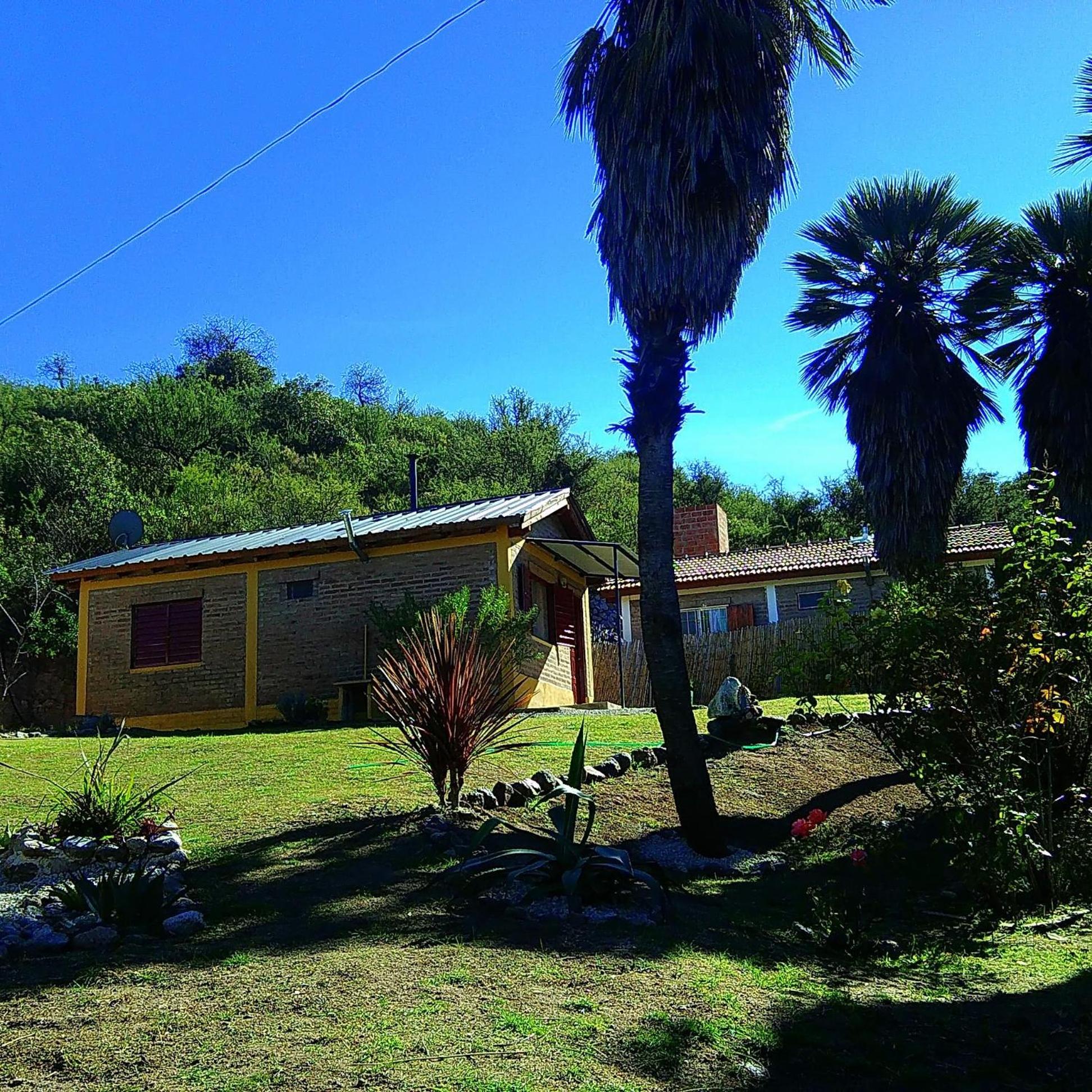Palmares al cerro