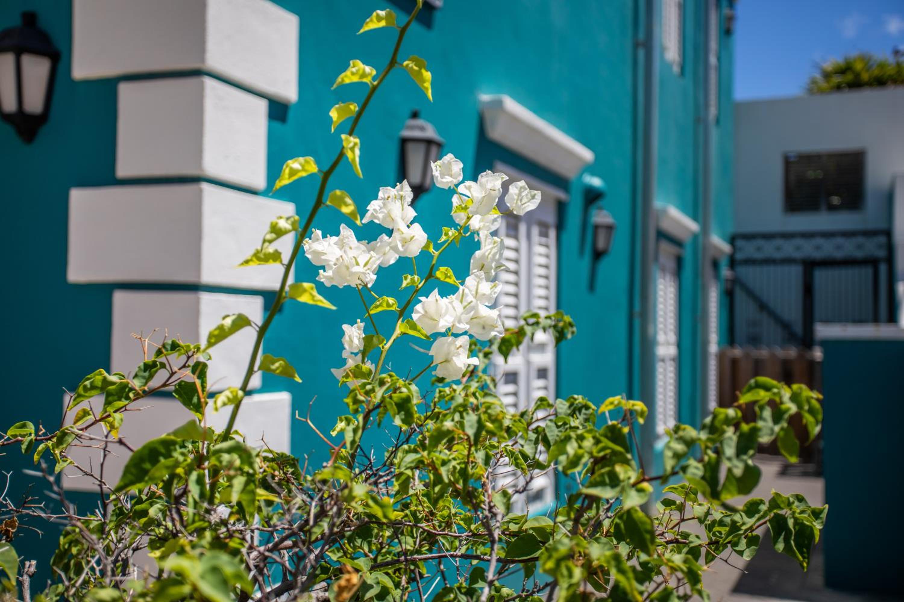 Curaçao Gardens