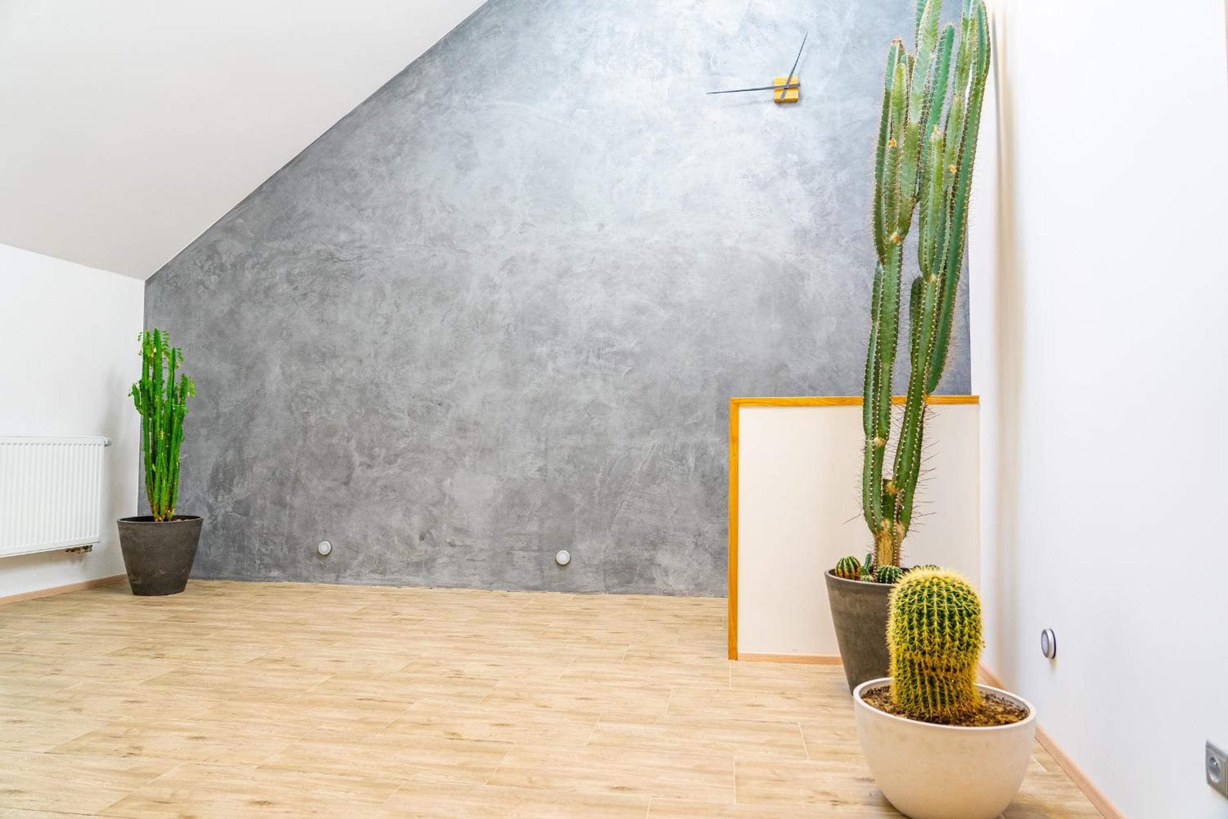 Apartmán ZA-KA 1 ubytování Litovel