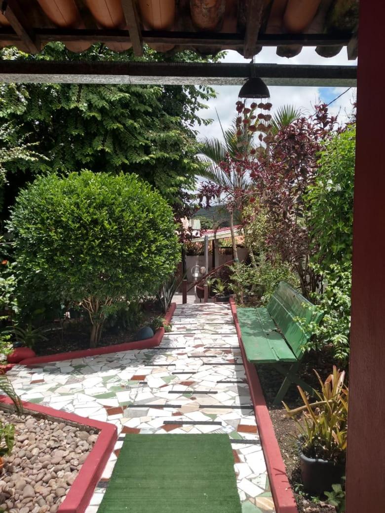 Photo 6