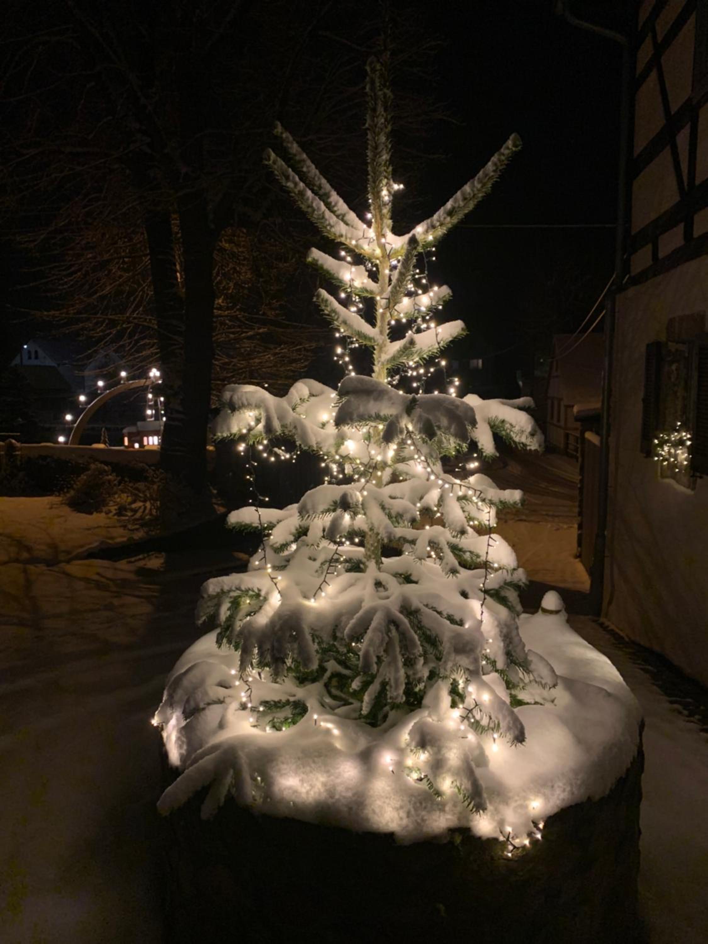 Photo 19