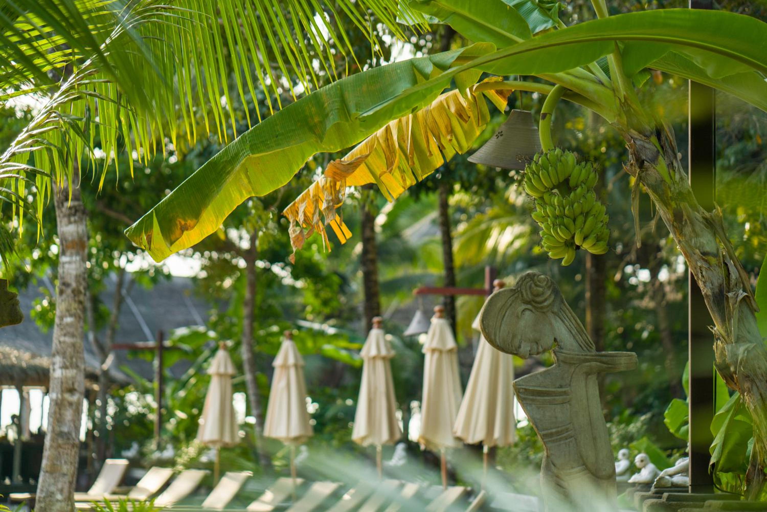 Koh Yao Yai Village
