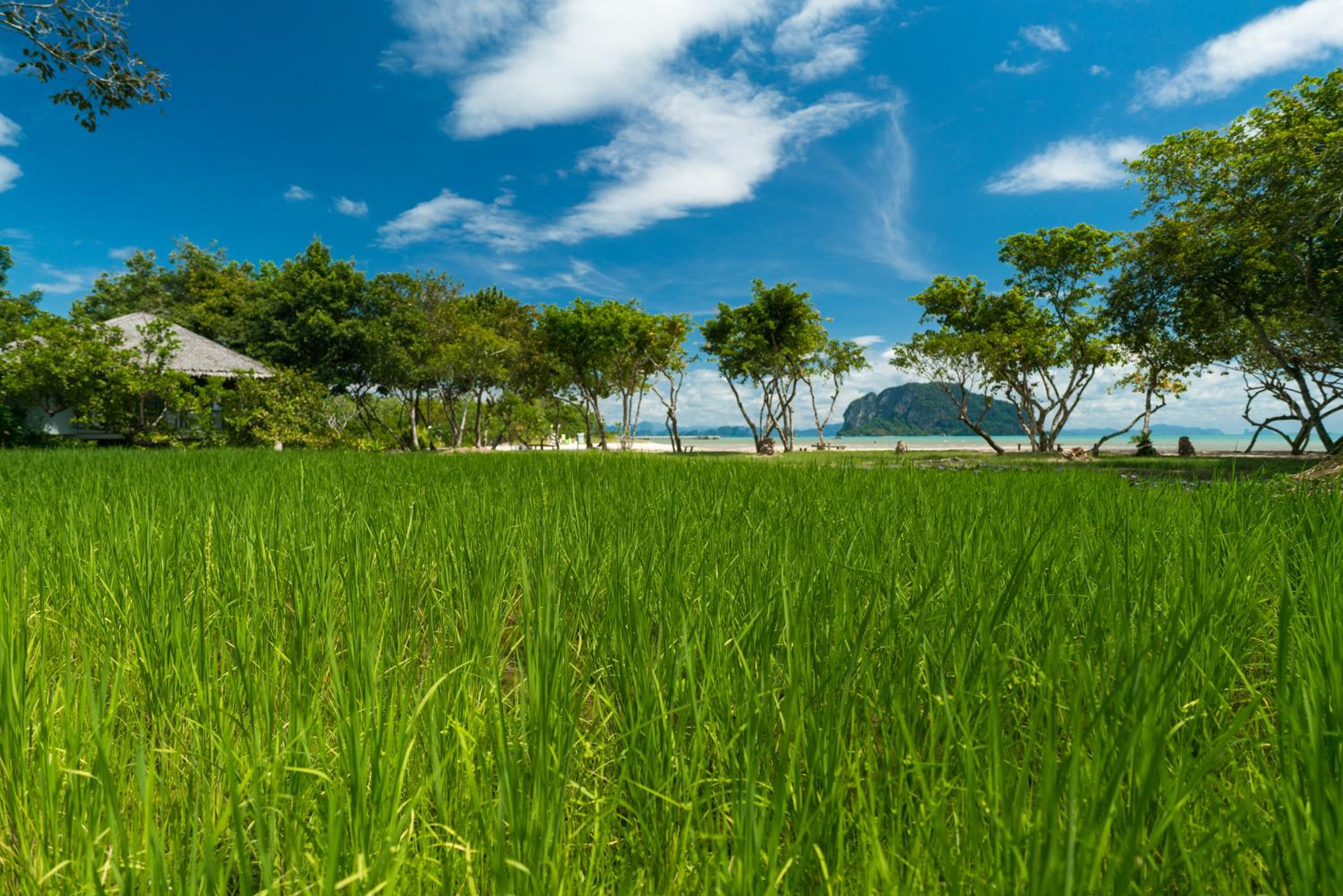 Koh Yao Yai Village
