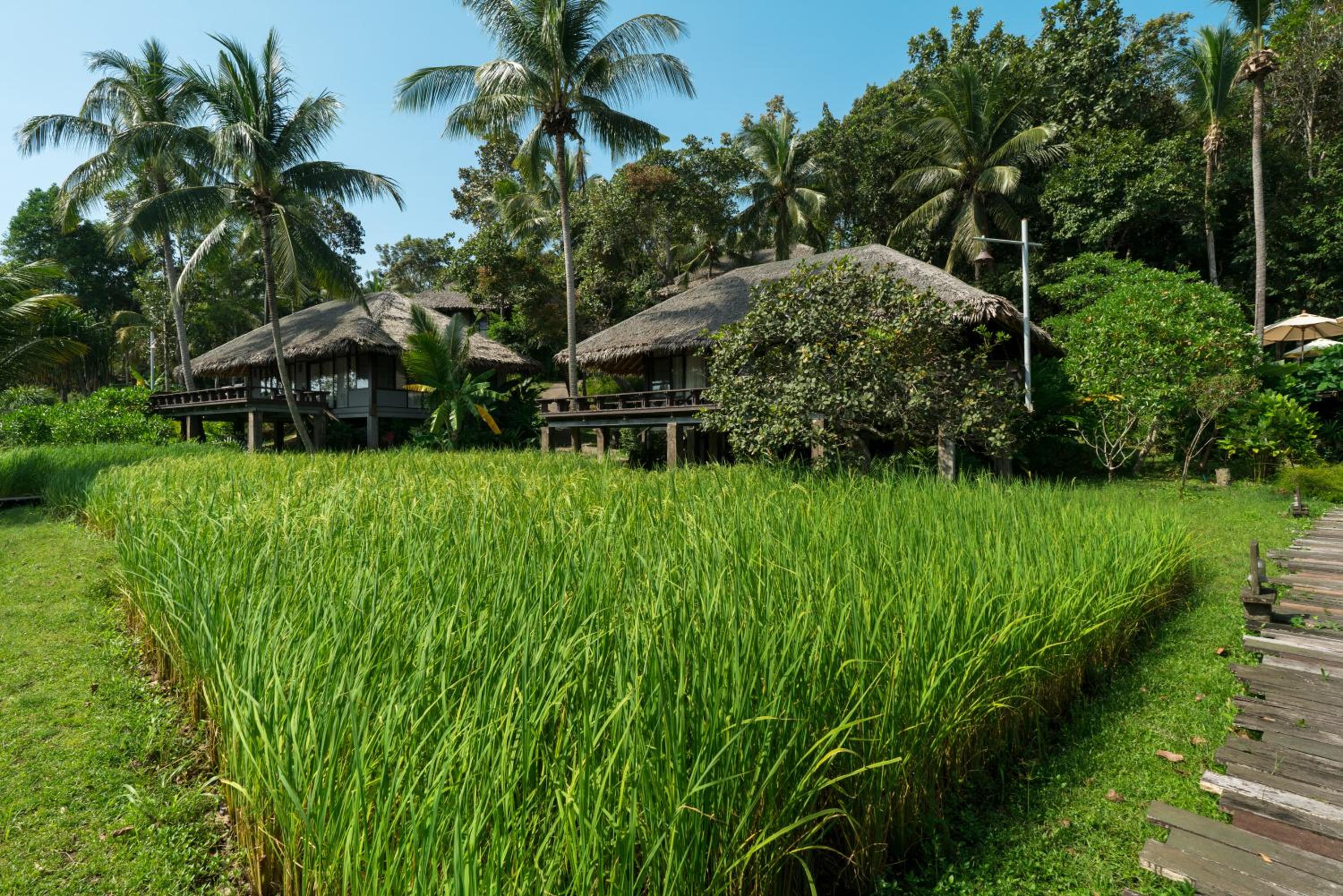 Koh Yao Yai Village