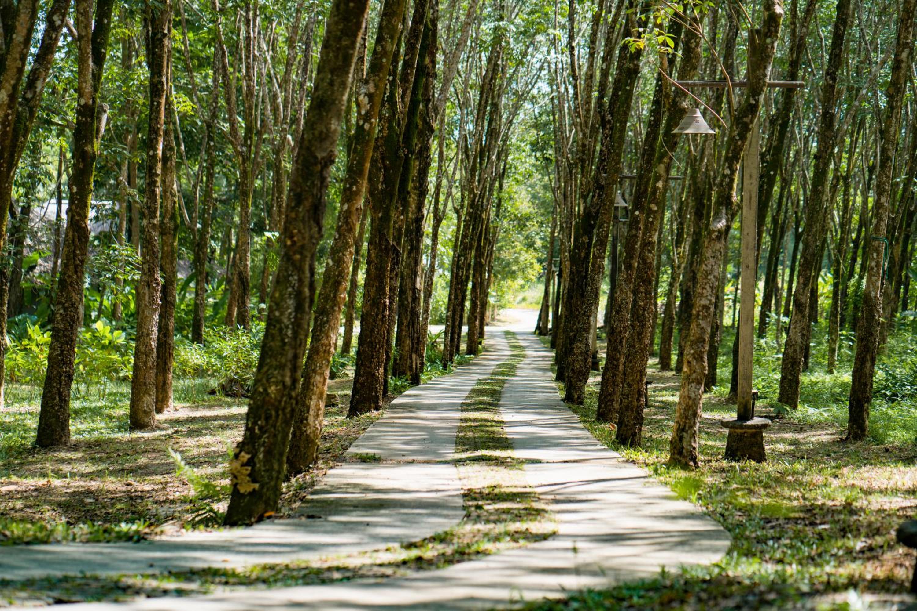 Koh Yao Yai Village