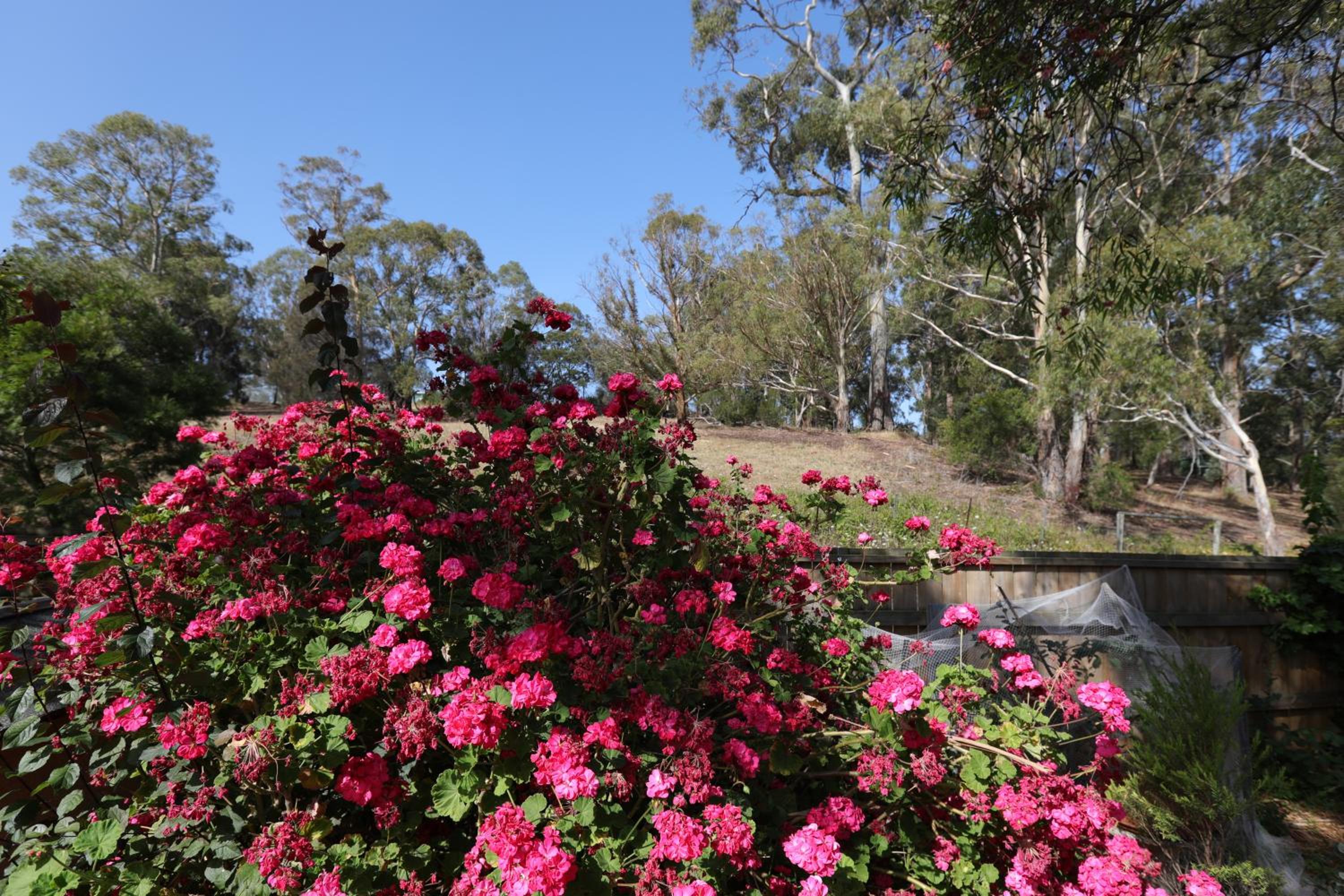 City Escape Taroona - Property Image 14