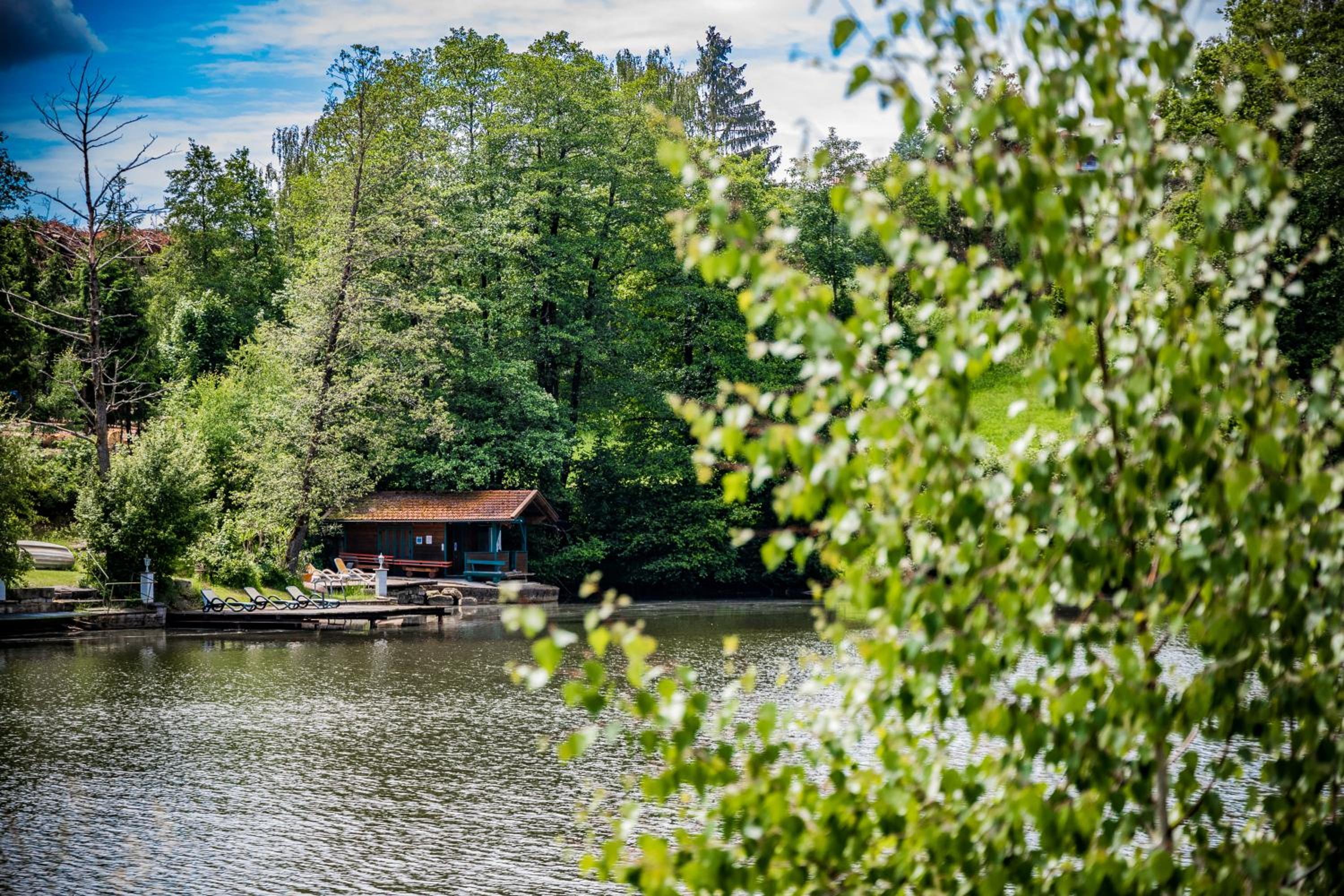 Hotel Der Seehof - Property Image 25