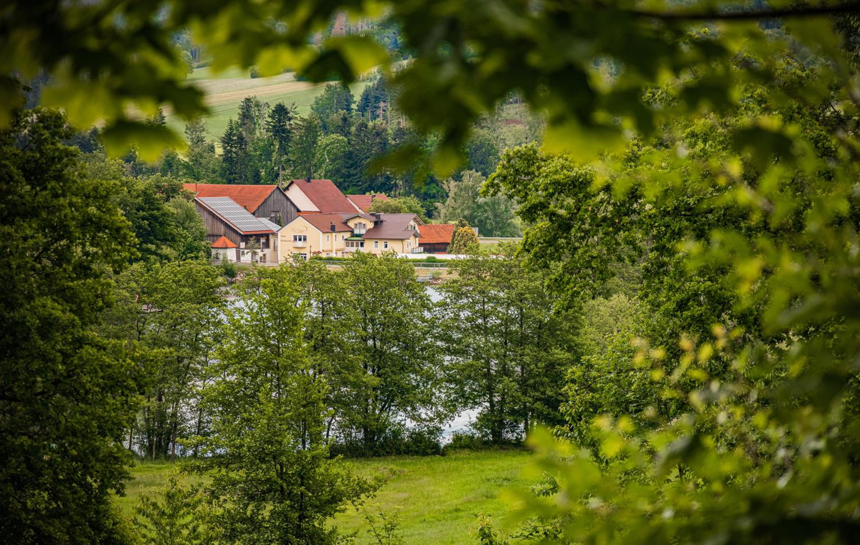 Hotel Der Seehof - Property Image 28