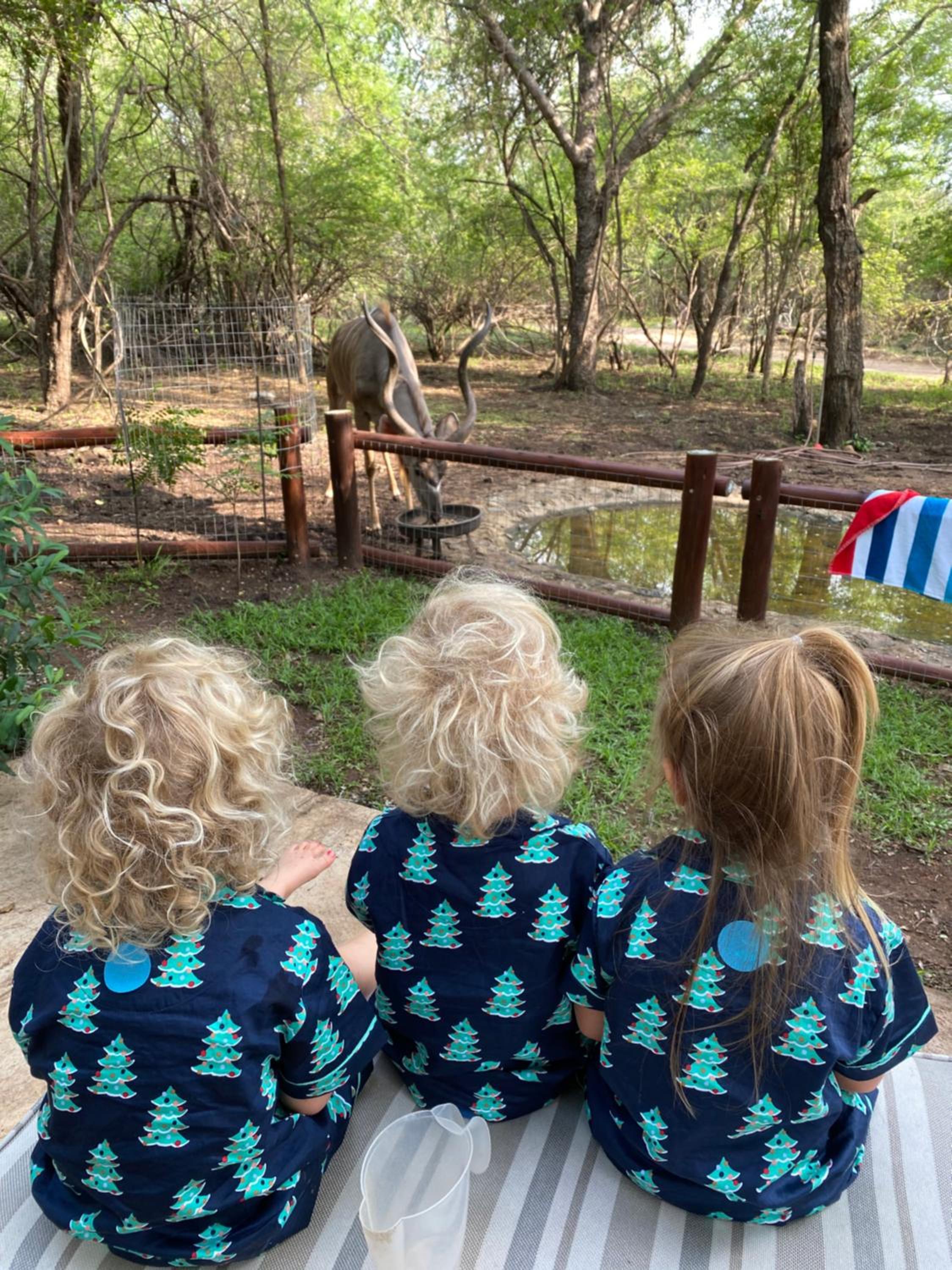 InniBos Marloth Park