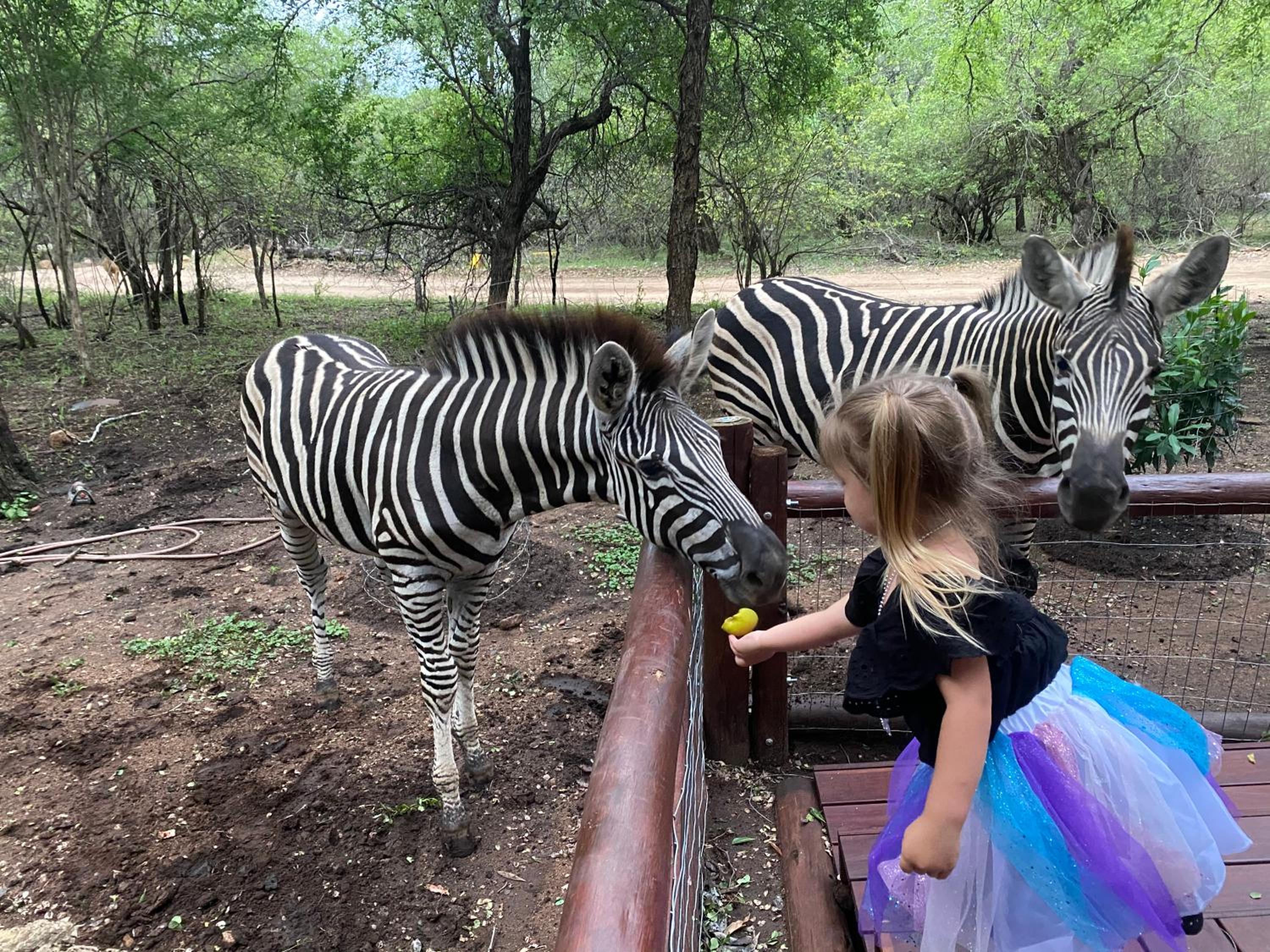 InniBos Marloth Park