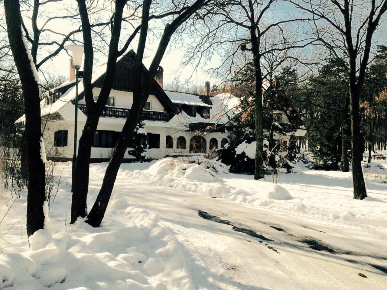 Photo 29
