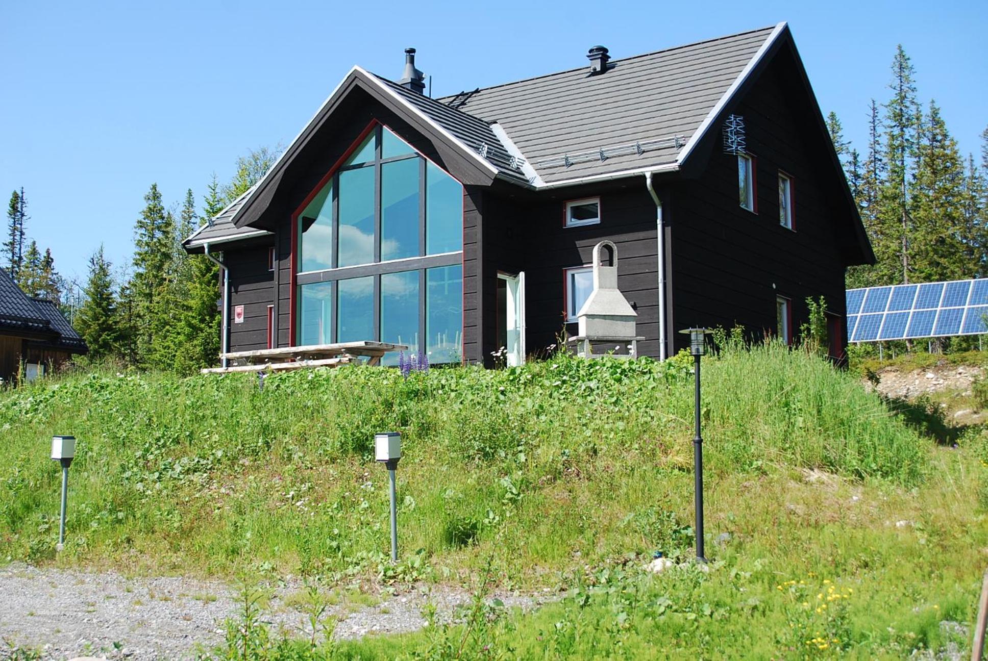 Photo 8