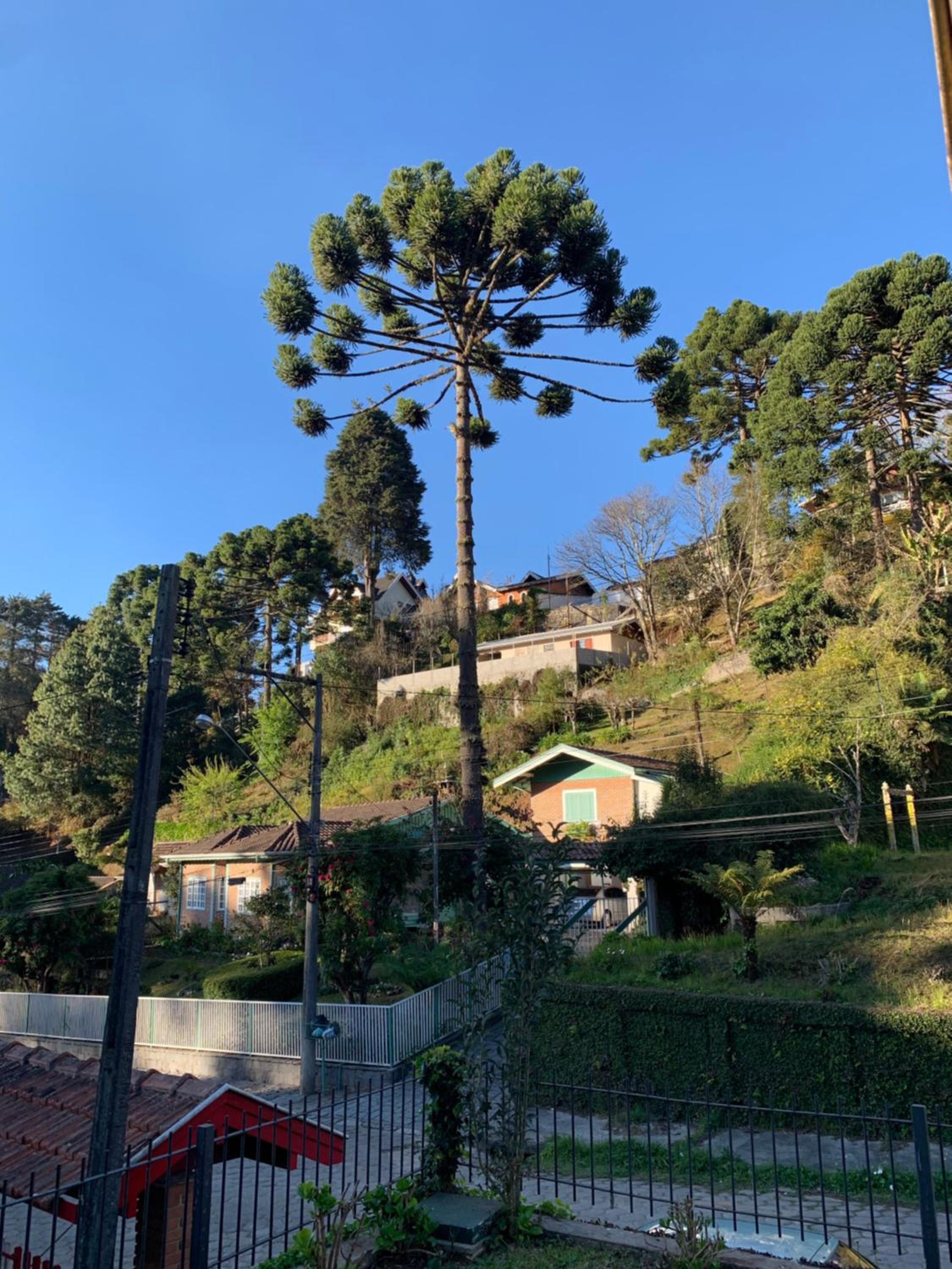 Casa em Campos do Jordão