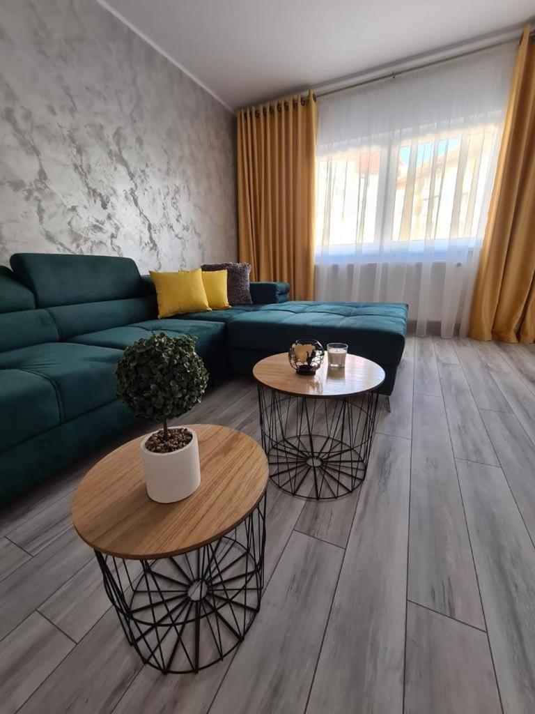 Apartament Central Iulia view 4