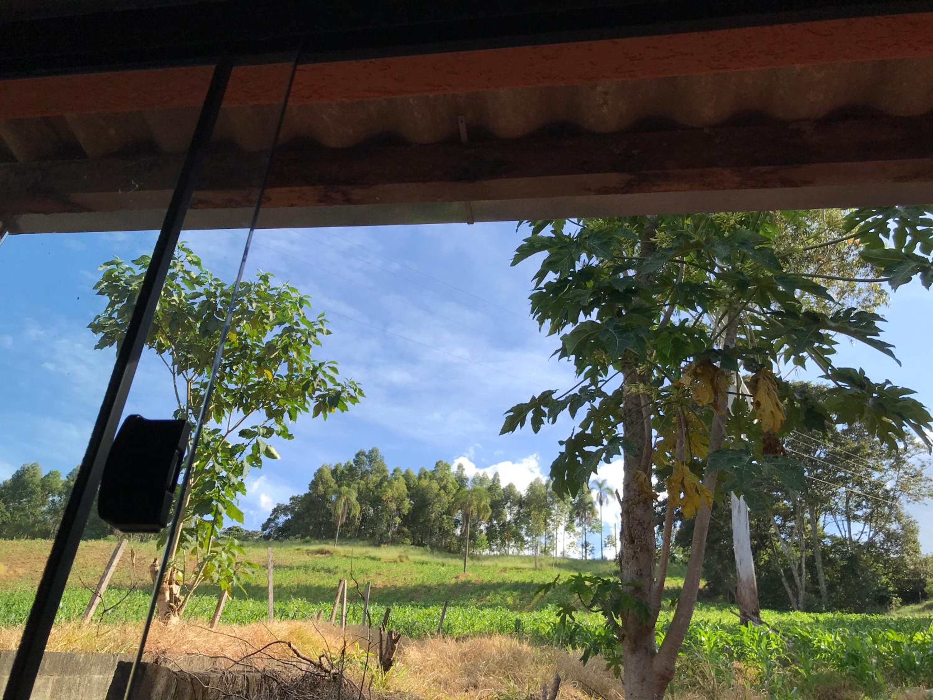 Rancho dos Pássaros Amarelos