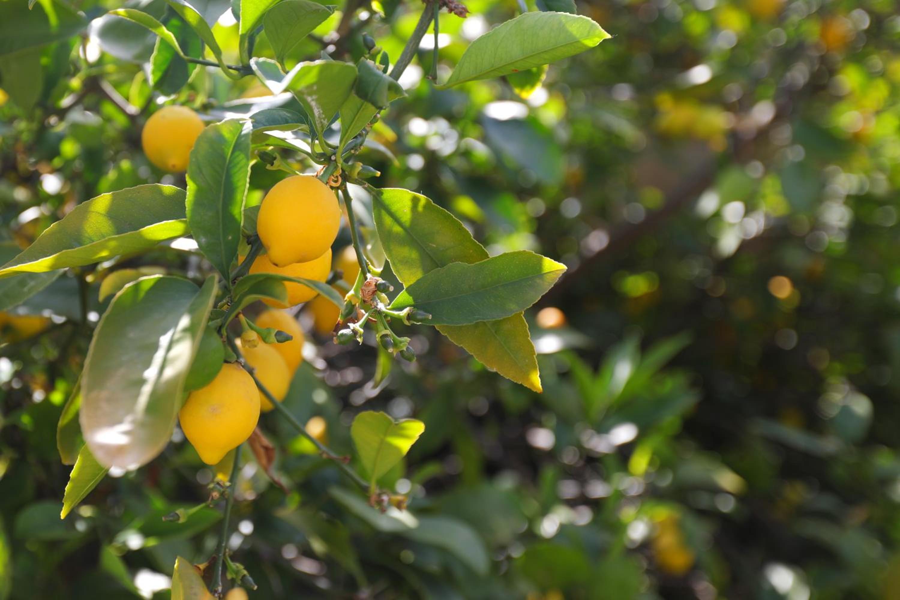 City Escape Taroona - Property Image 26