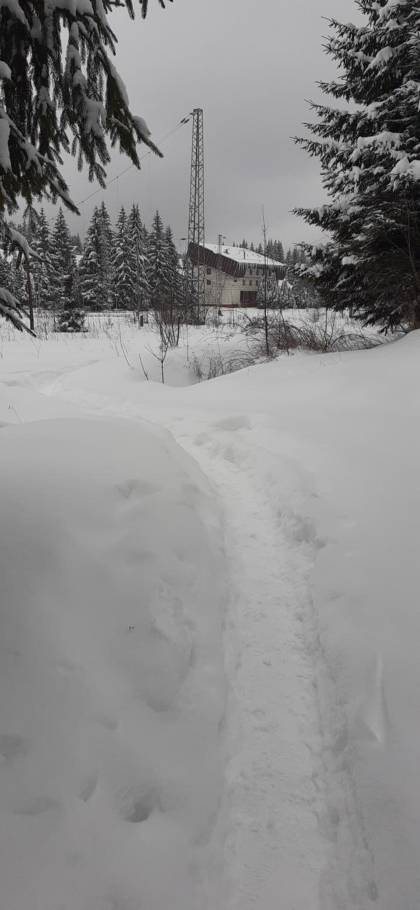Photo 26
