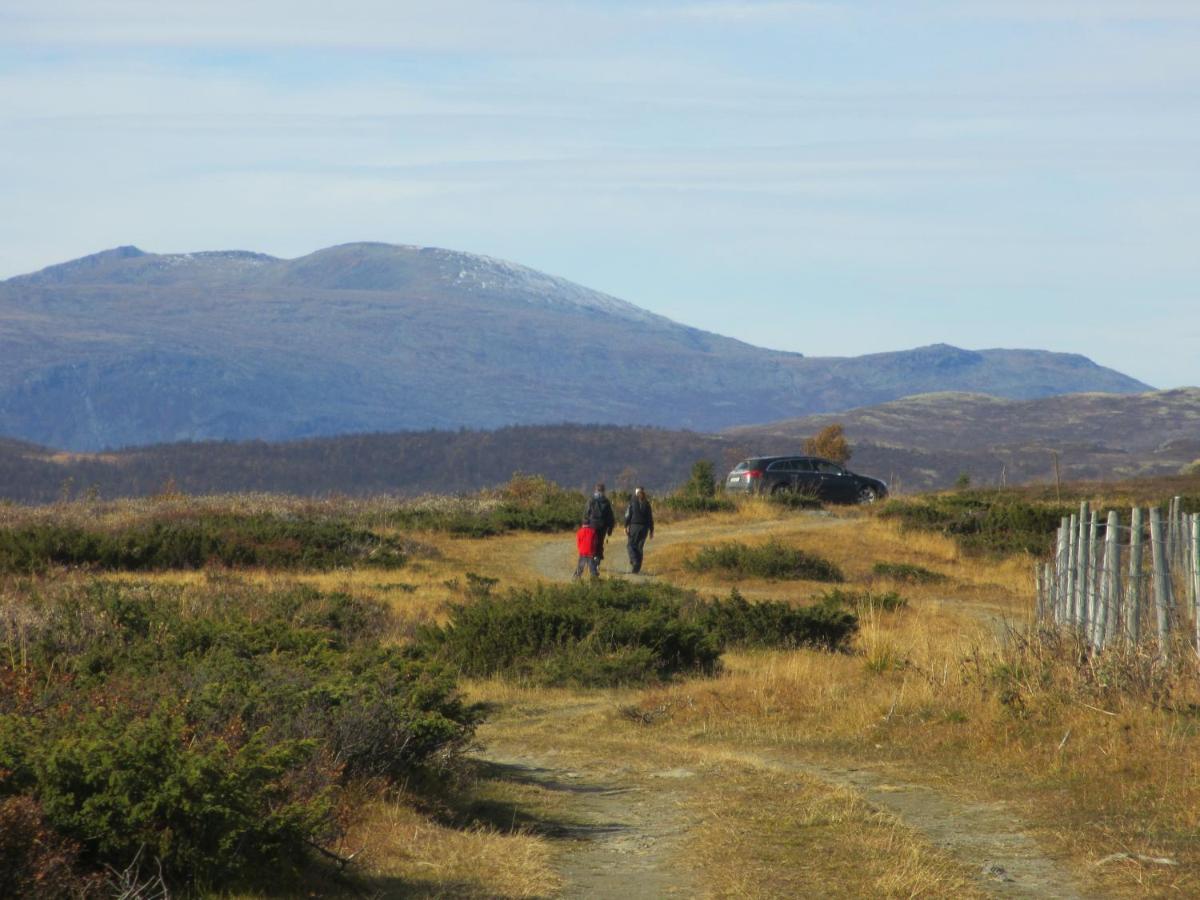 Photo 29