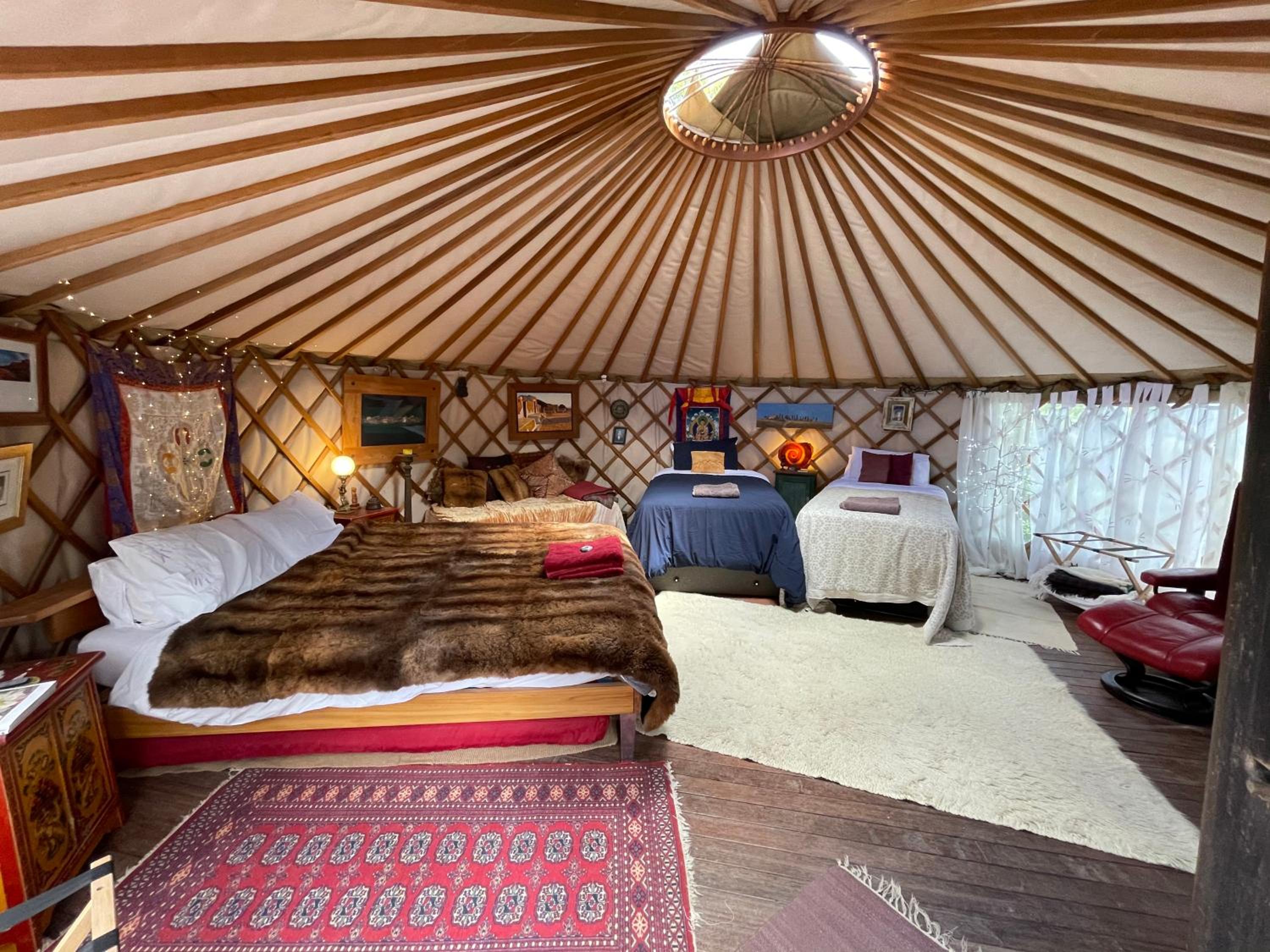 Ngahere Hou Glamping view 2