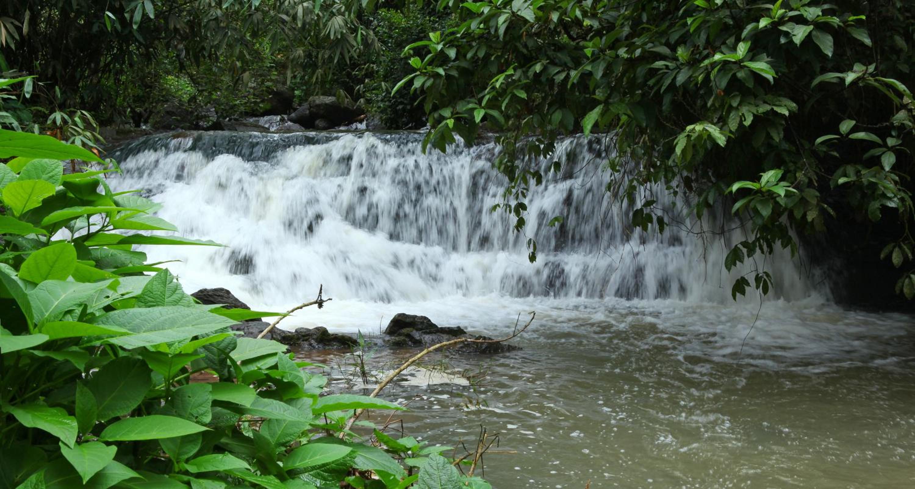 Carmelia Haven Resort Thekkady