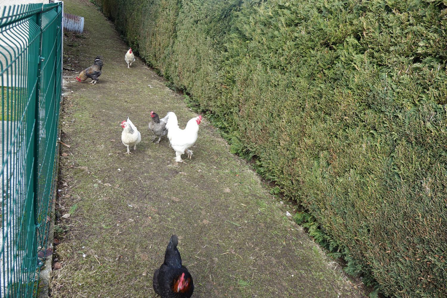 Photo 13