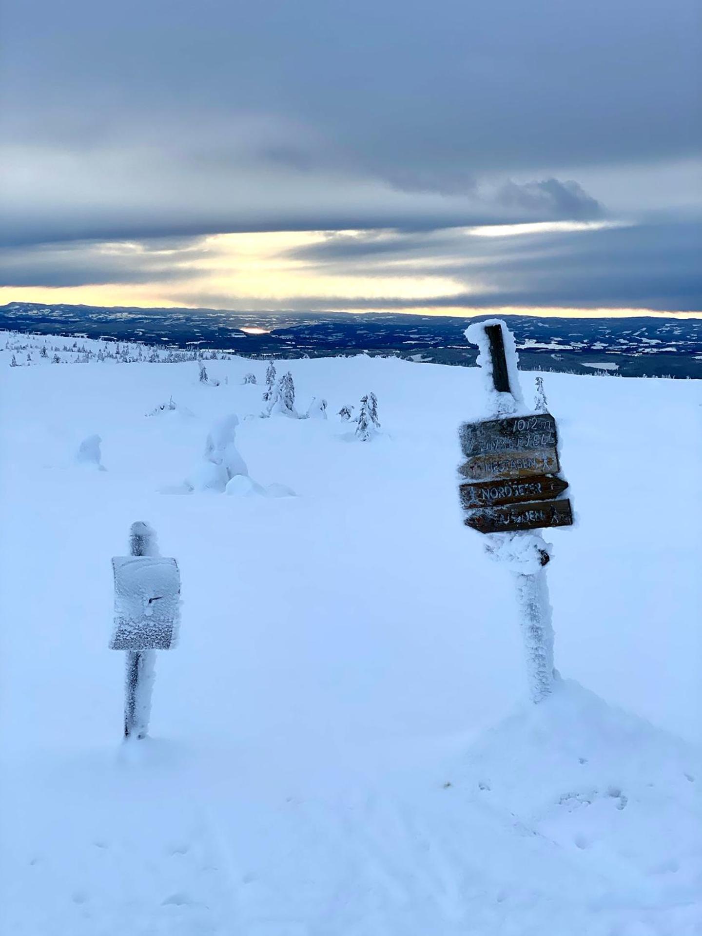 Lys og moderne leilighet rett ved skiløypa på Nordseter - Kort vei til Sjusjøen, Lillehammer og Hafjell - Dyr ikke tillatt view 5