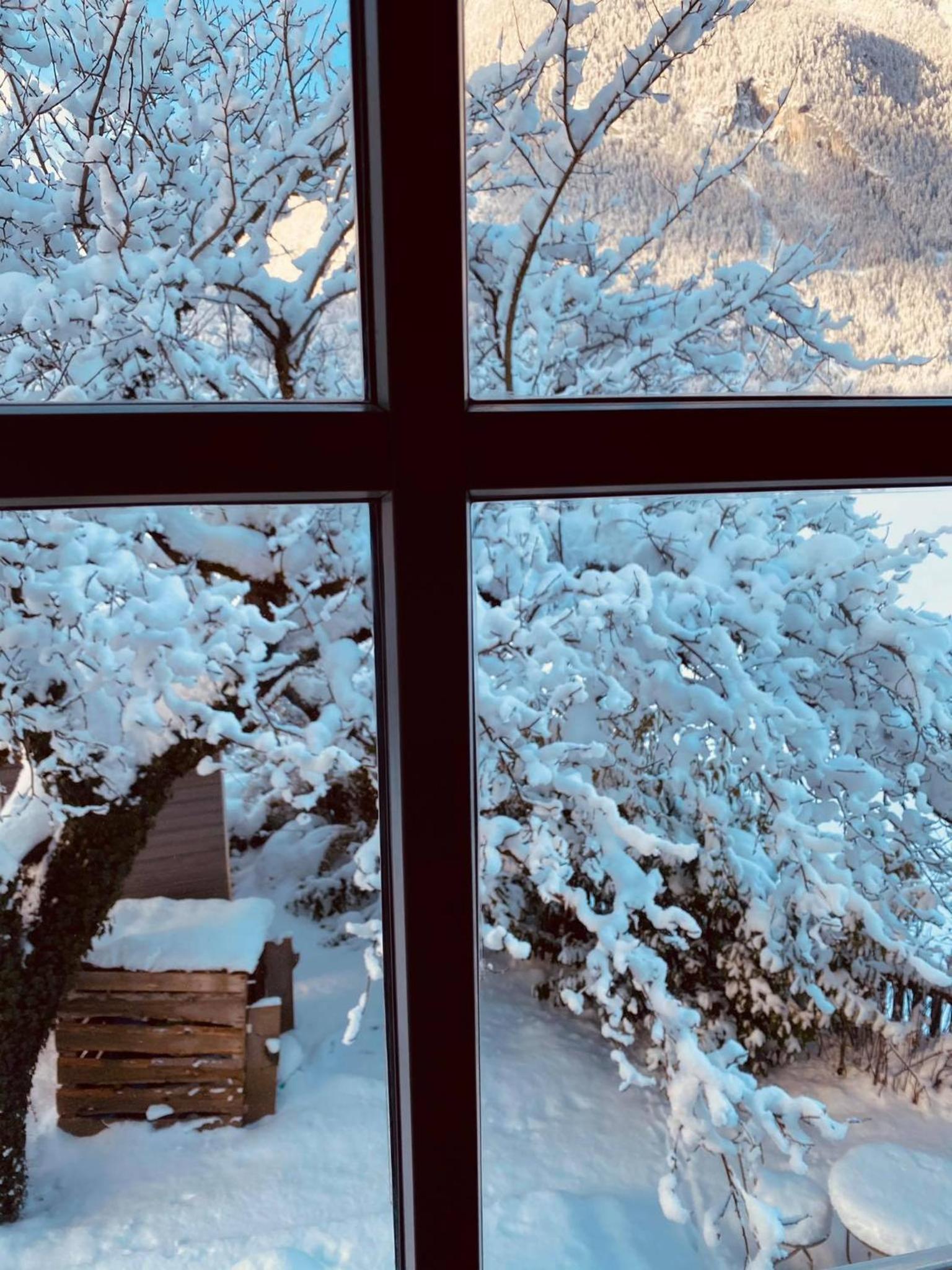 Forest Chalet, all famous ski areas around us, 15 min to city of salzburg, mountainview, panorama sauna, bath whirlpool, fire pit in garden up to 10 p